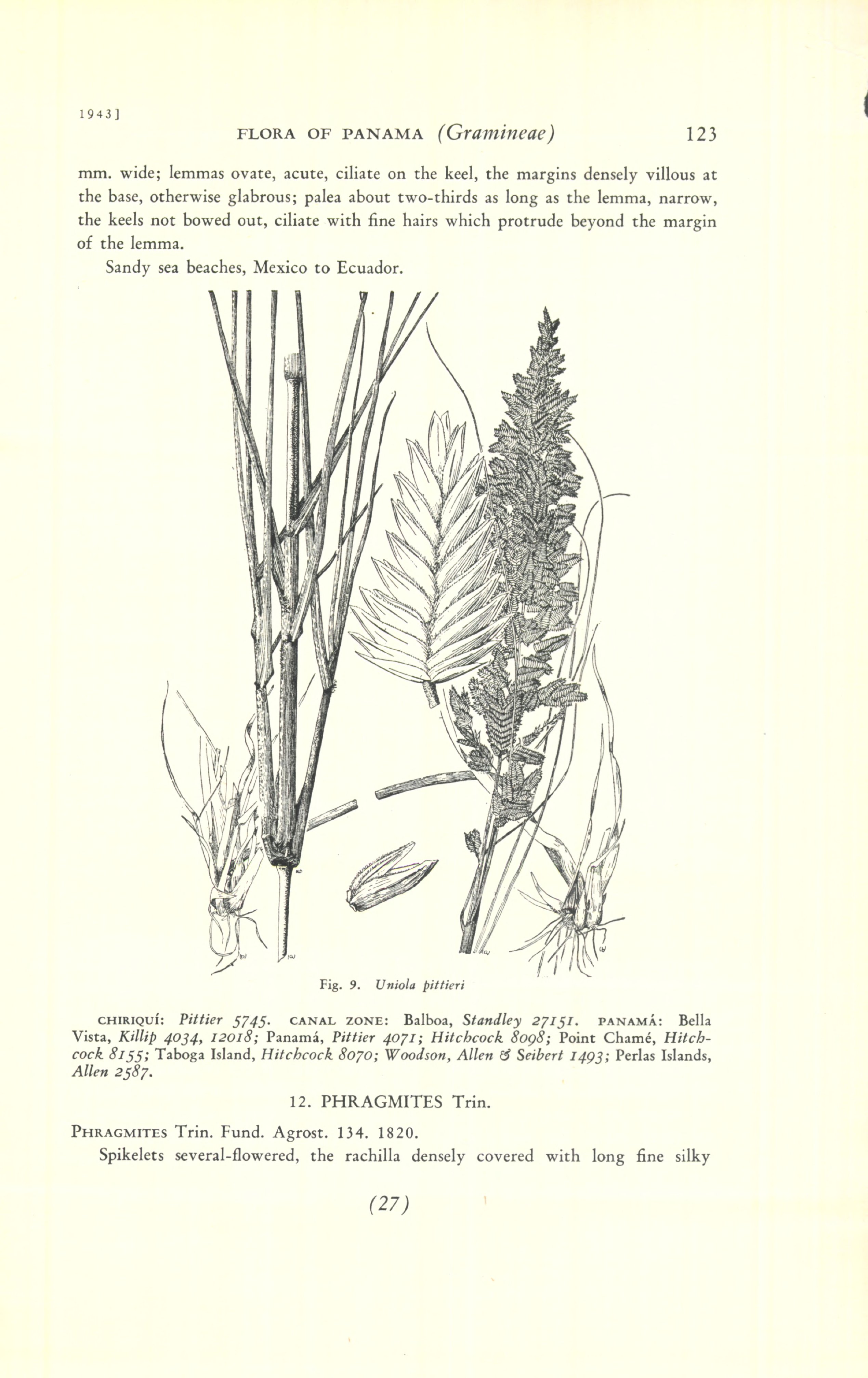 no full size  illustration available (3a)