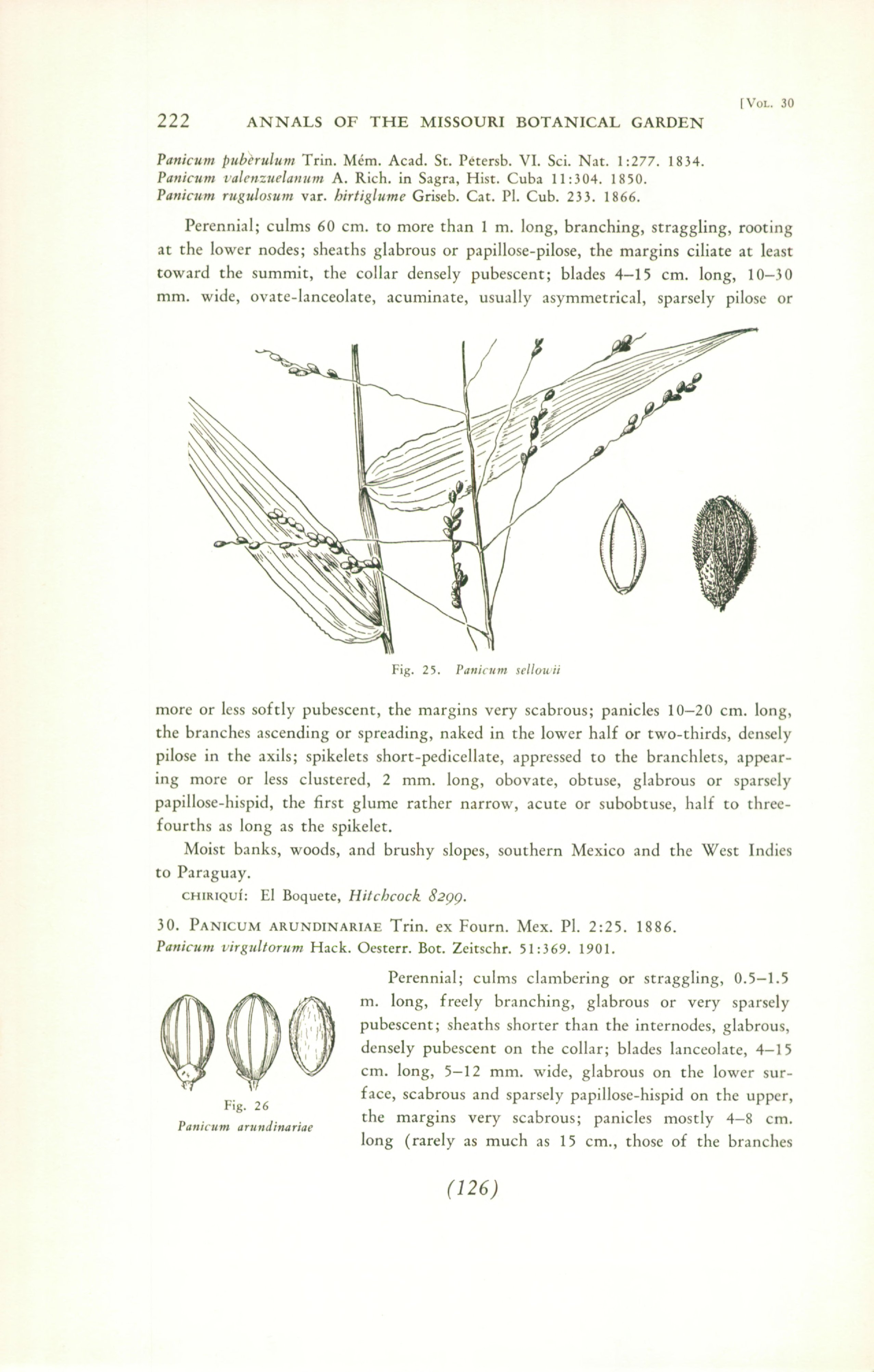 no full size  illustration available (3a)