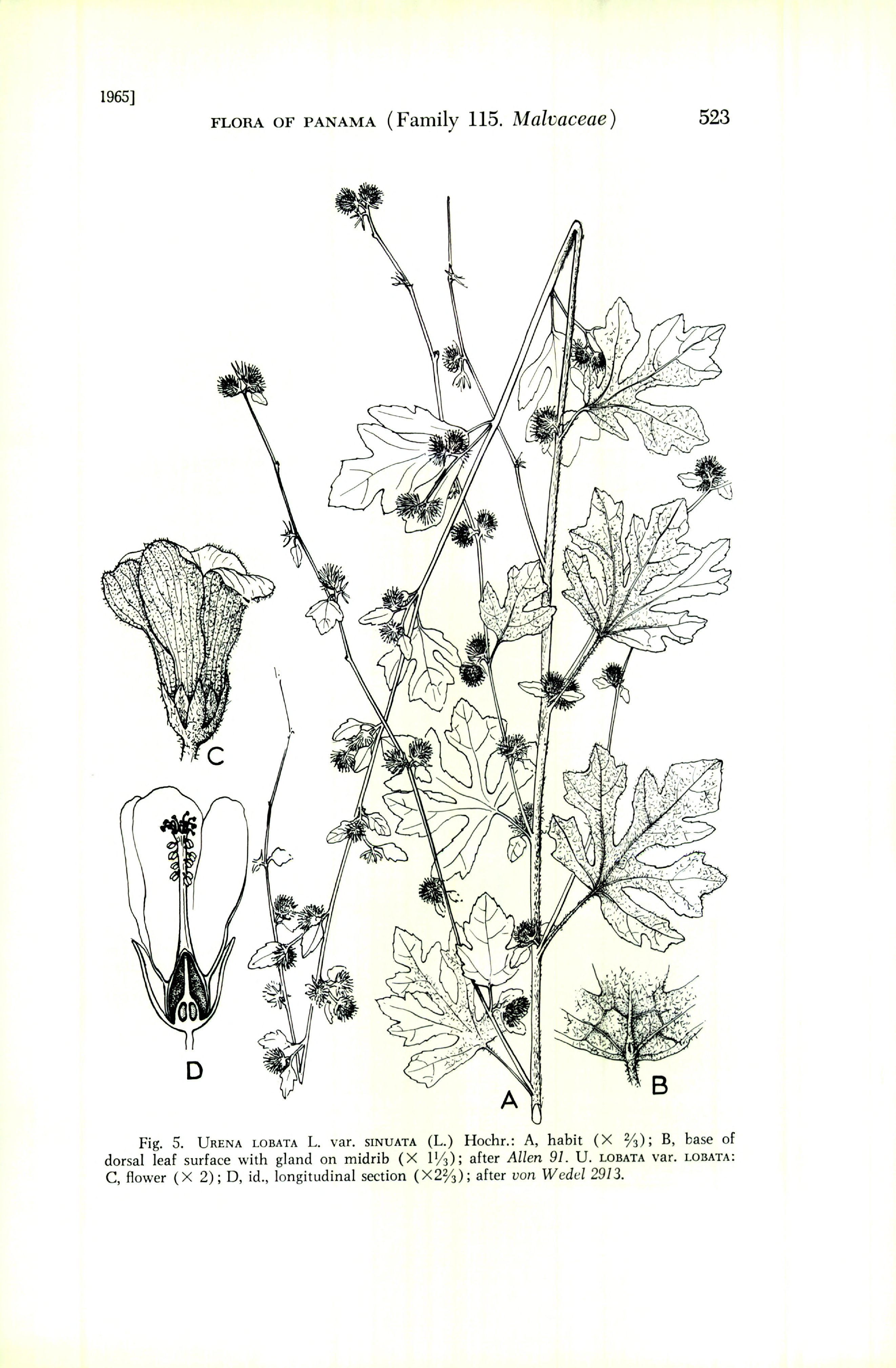 no full size  illustration available (3a)