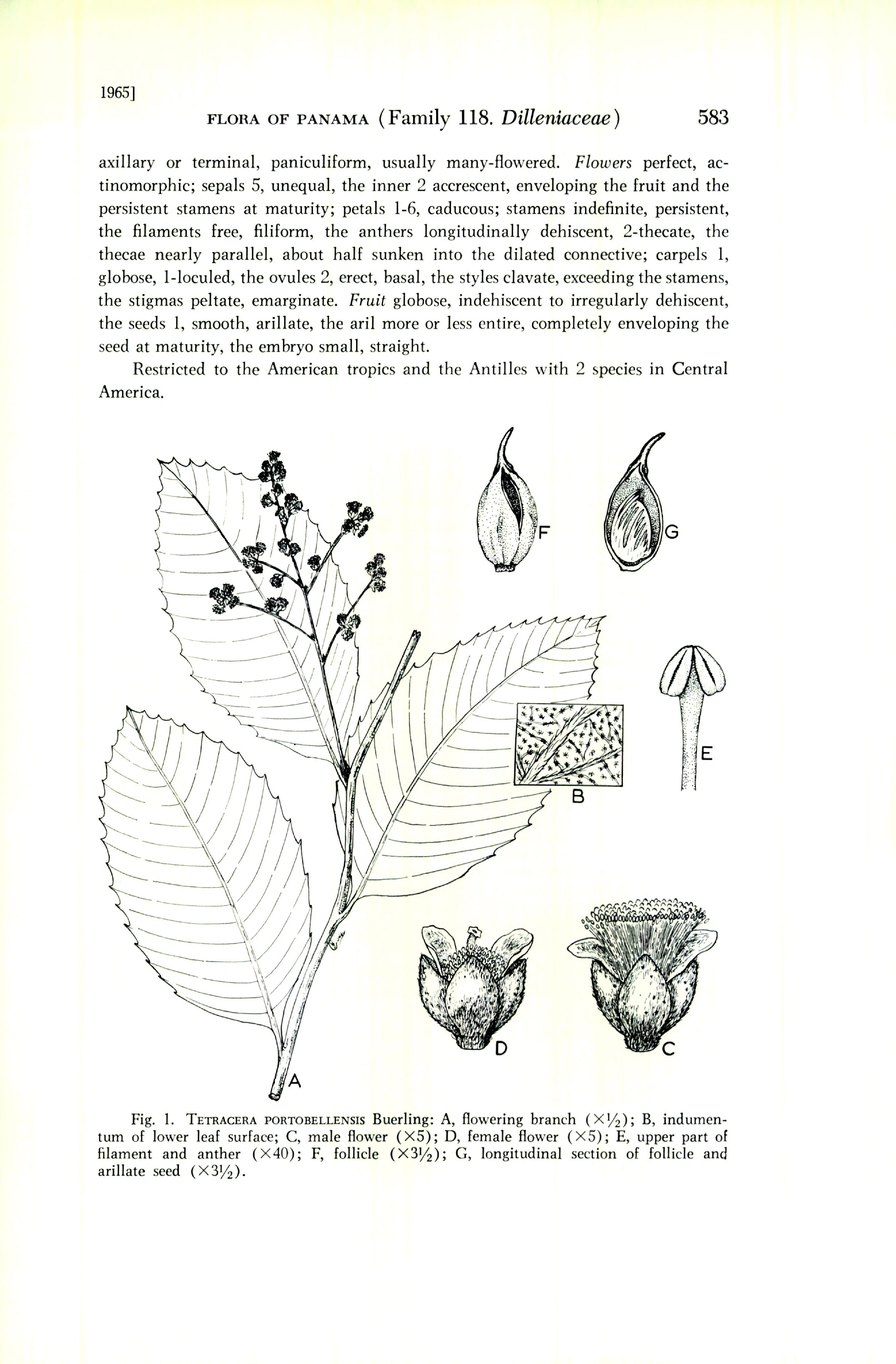 no full size  illustration available (3a)