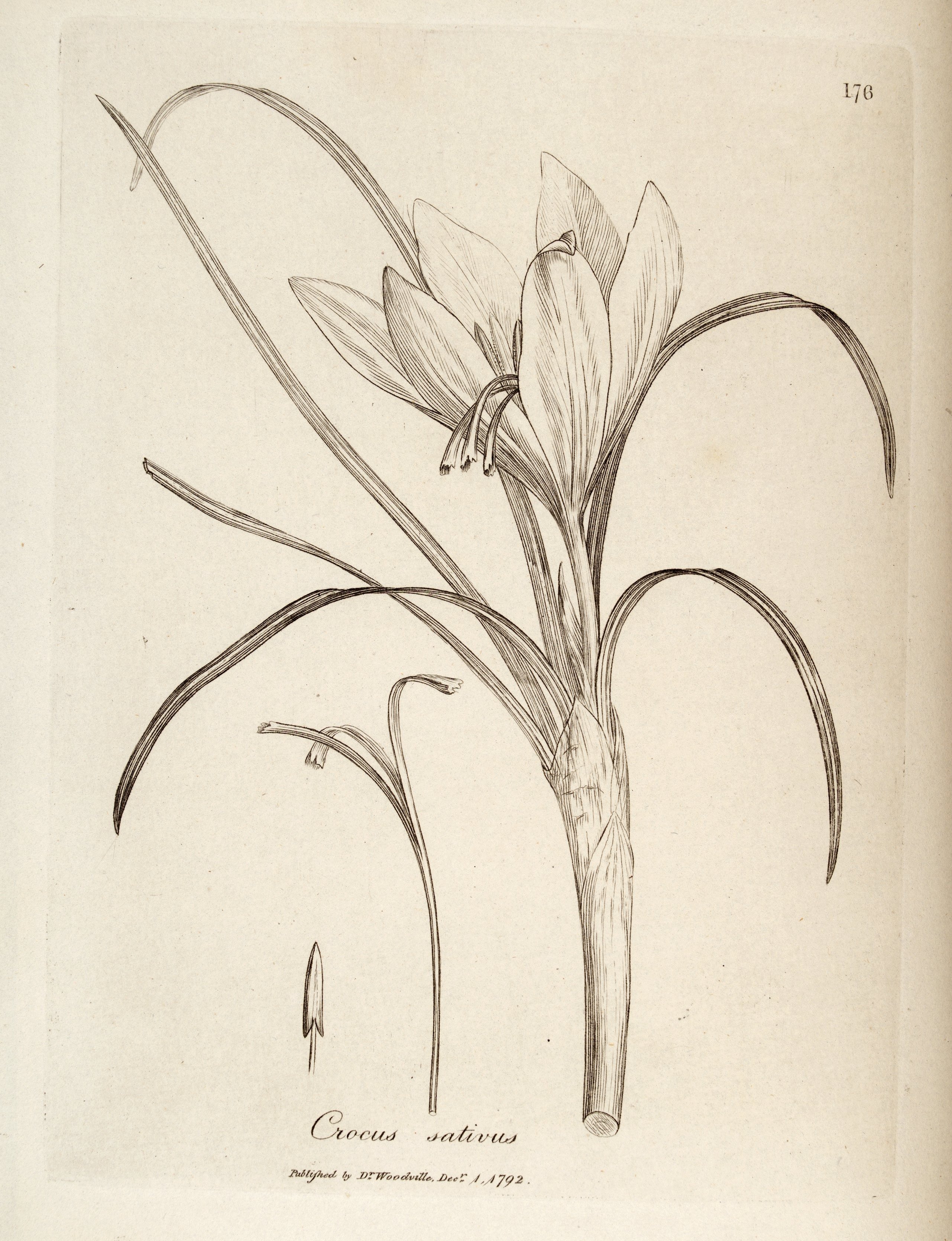 no full size  illustration available (3a)