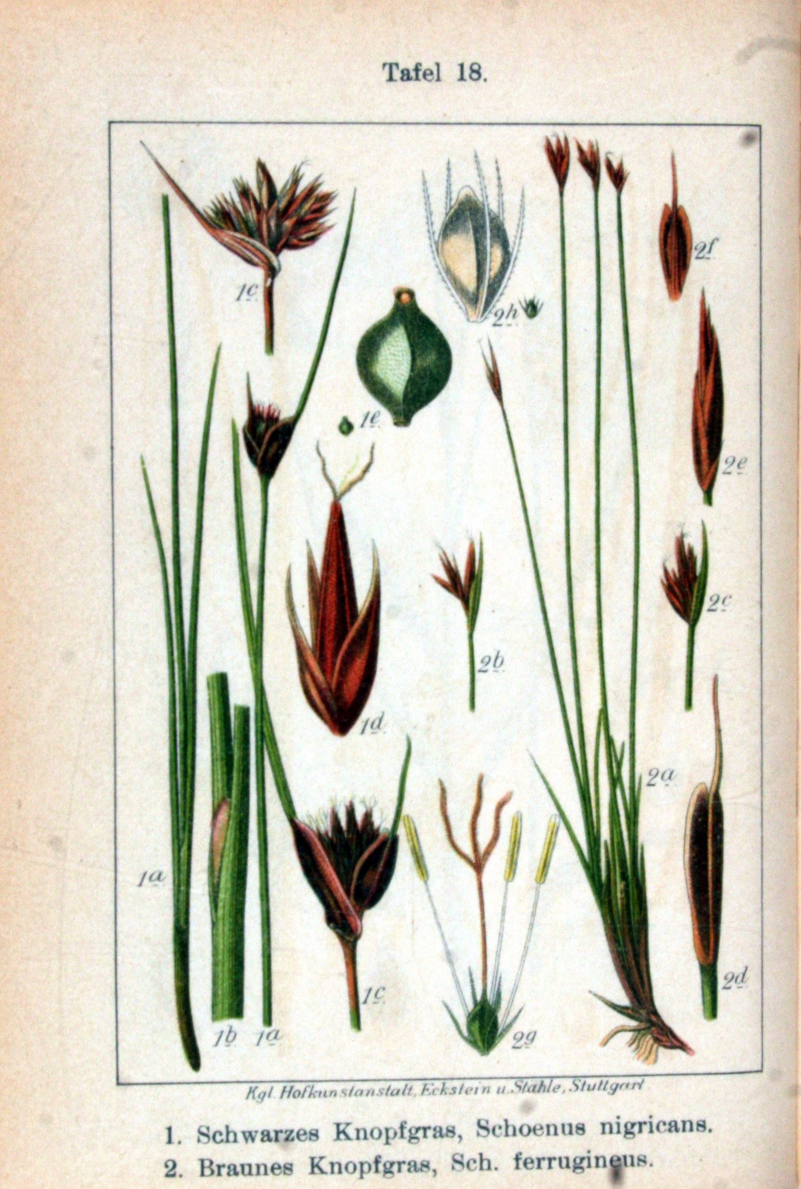 no full size  illustration available (3a)