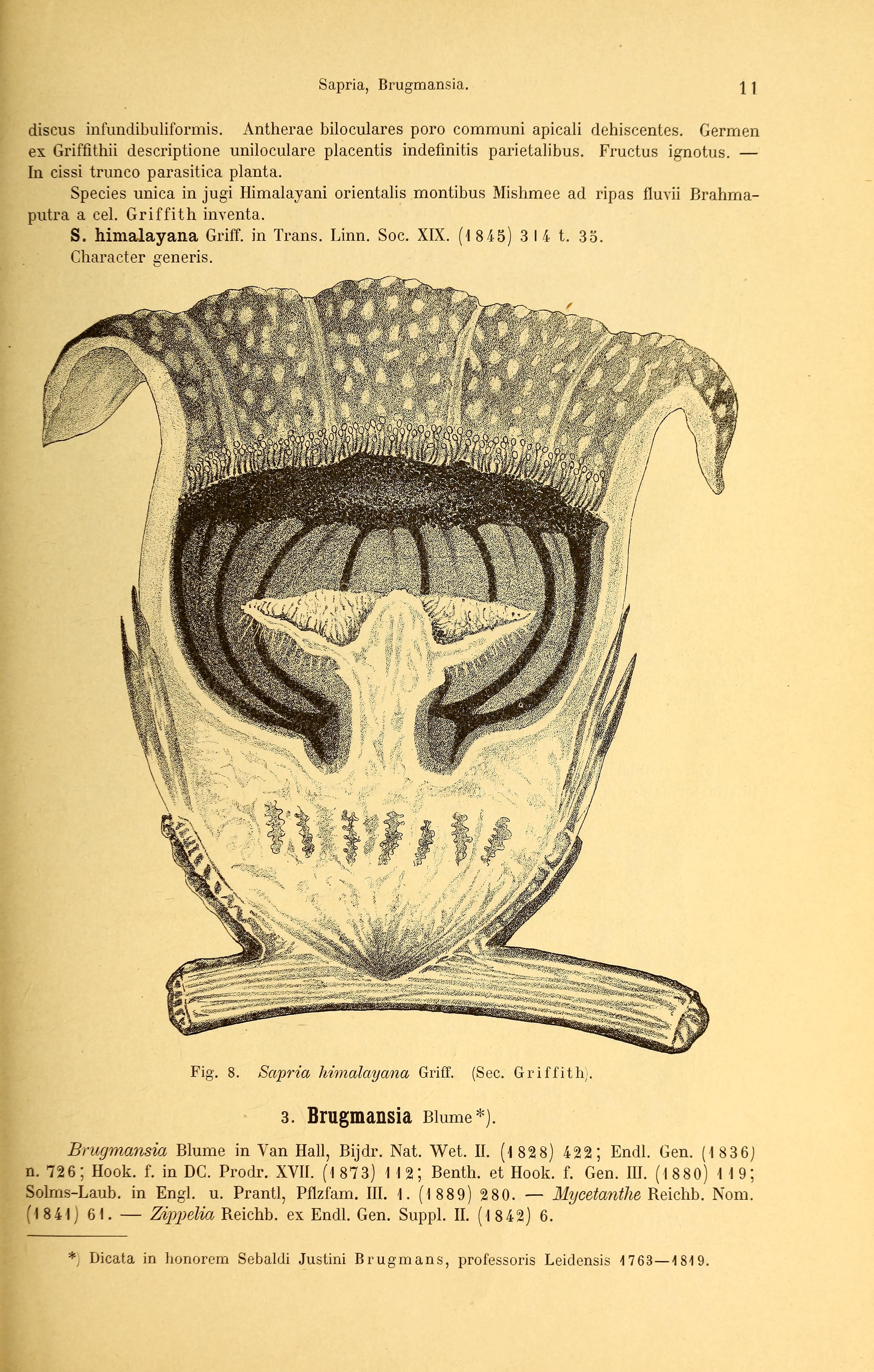 no full size  illustration available (3a)