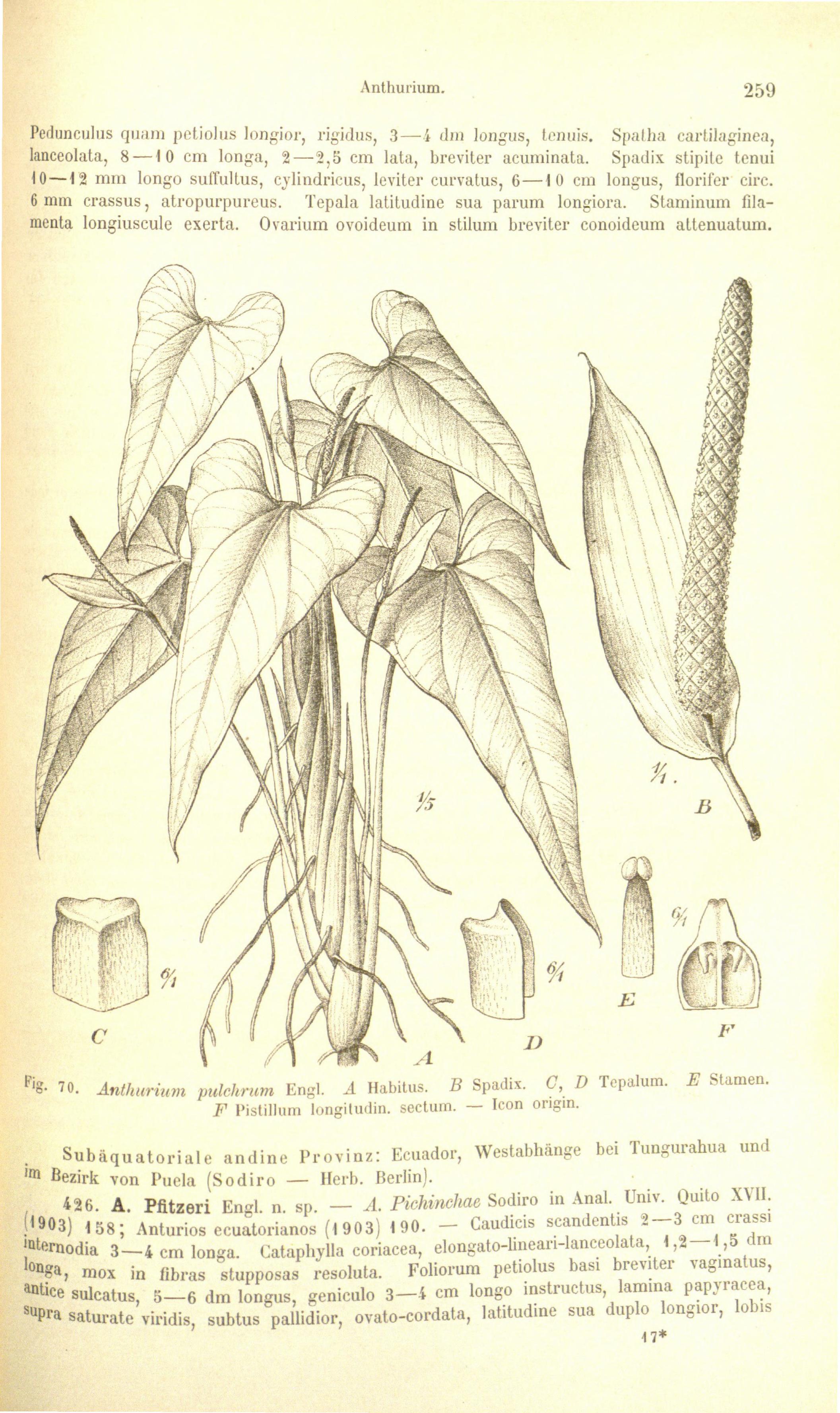 no full size  illustration available (3a)