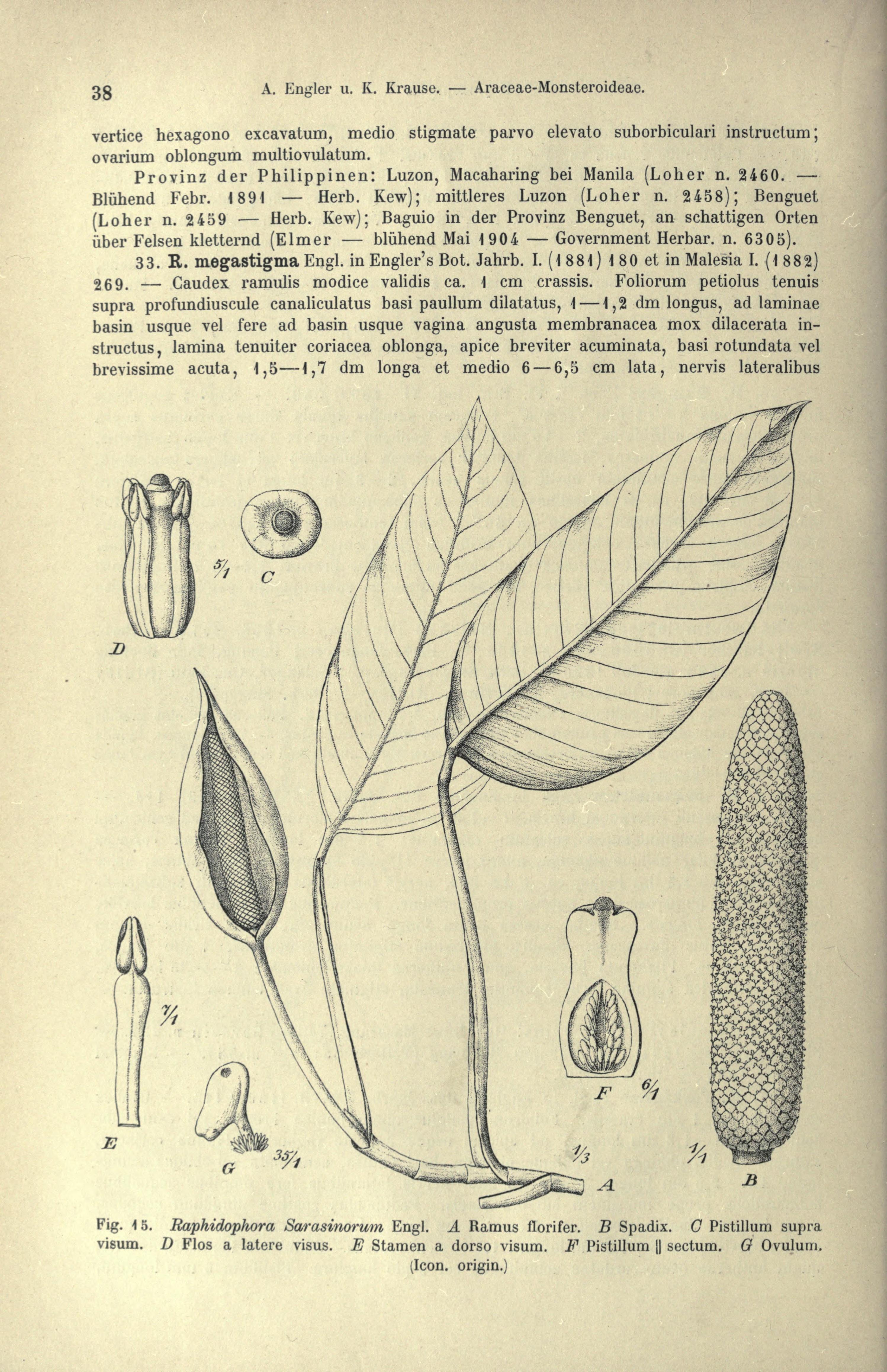 no full size  illustration available (3a)