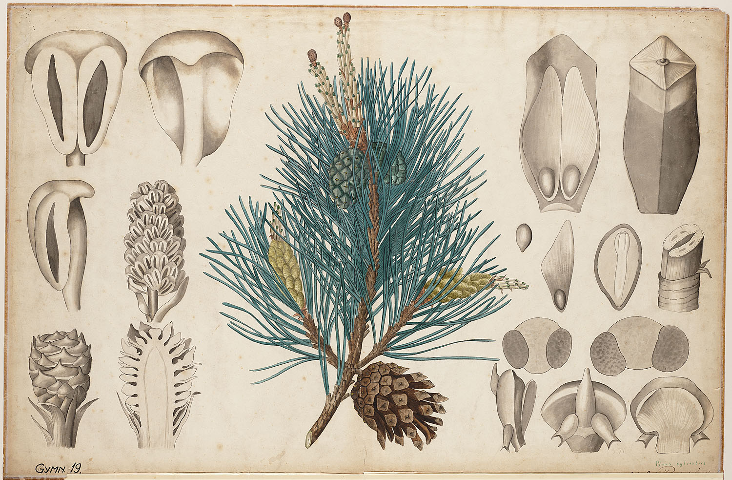 no full size  illustration available (3a)