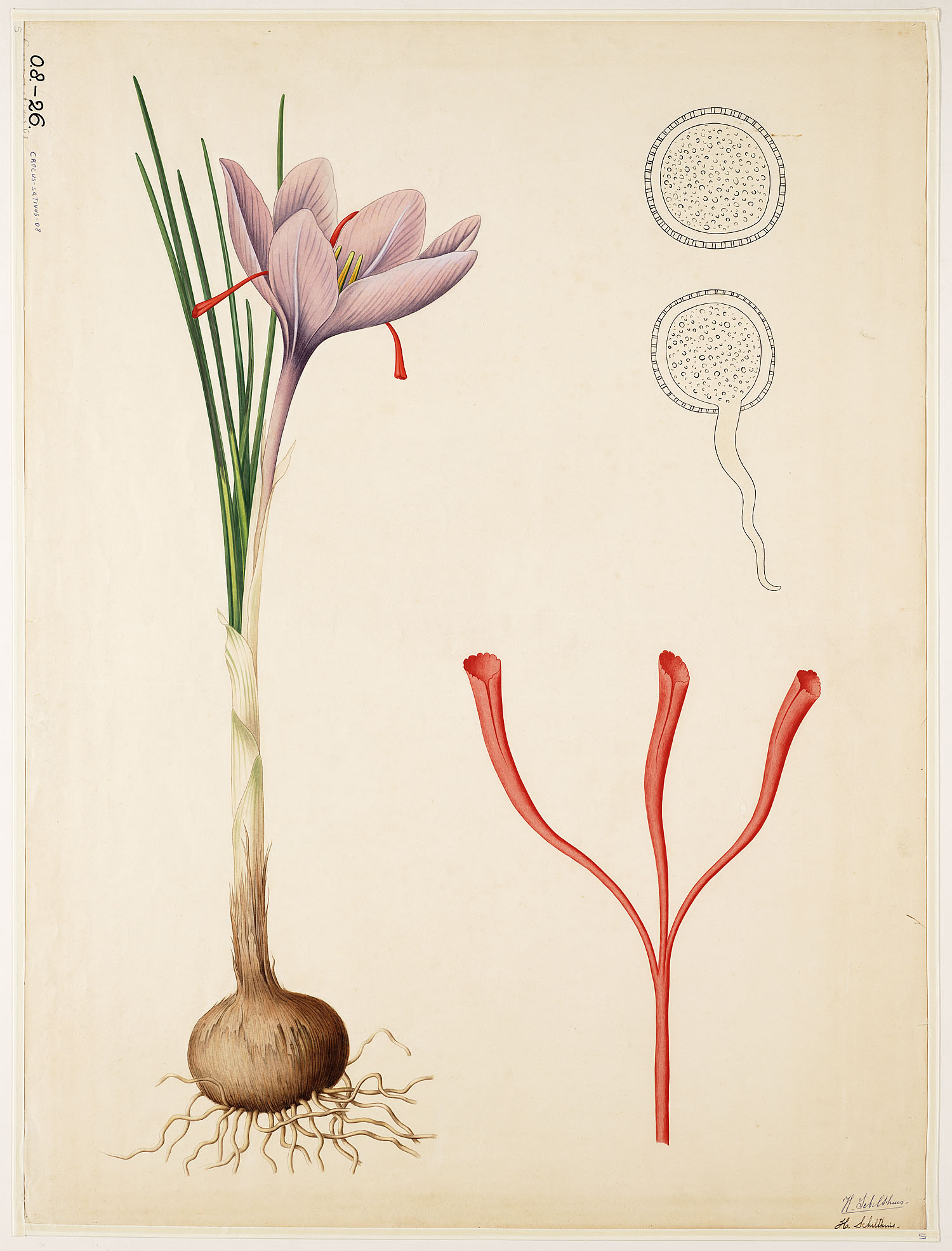 no full size  illustration available (3a)