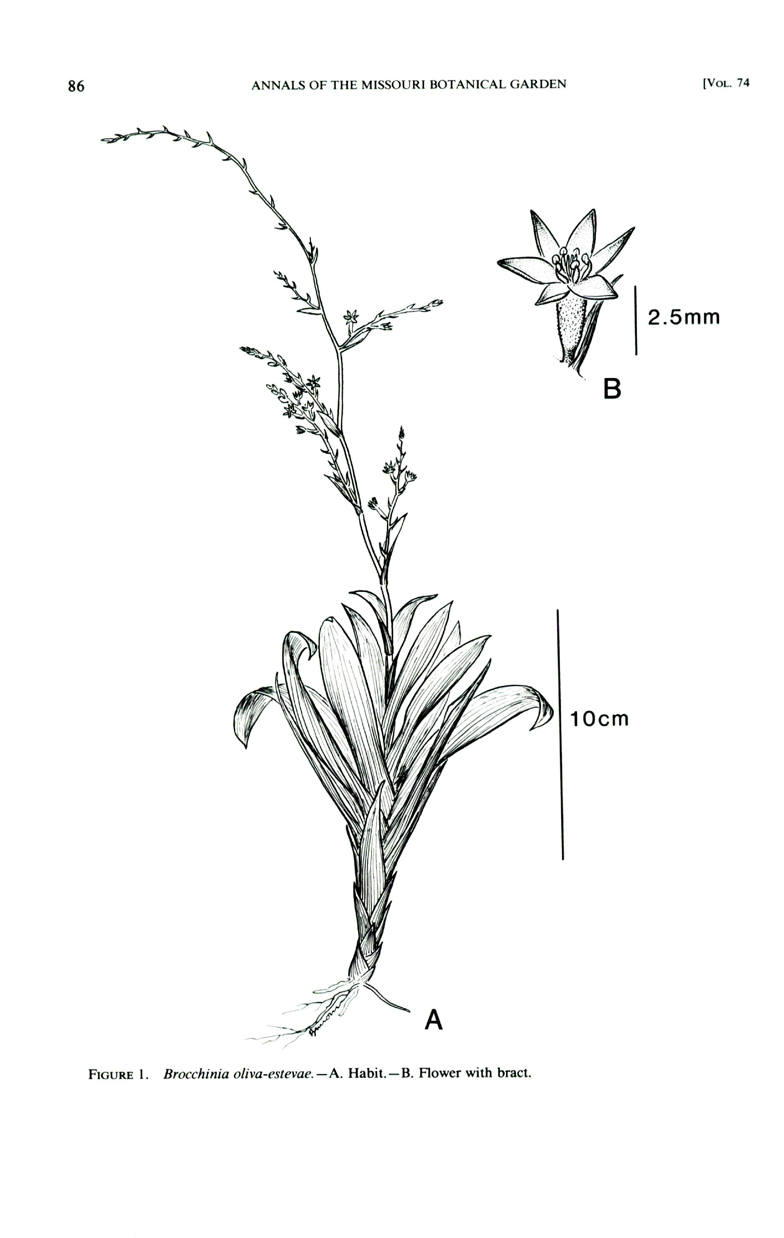 no full size  illustration available (3a)