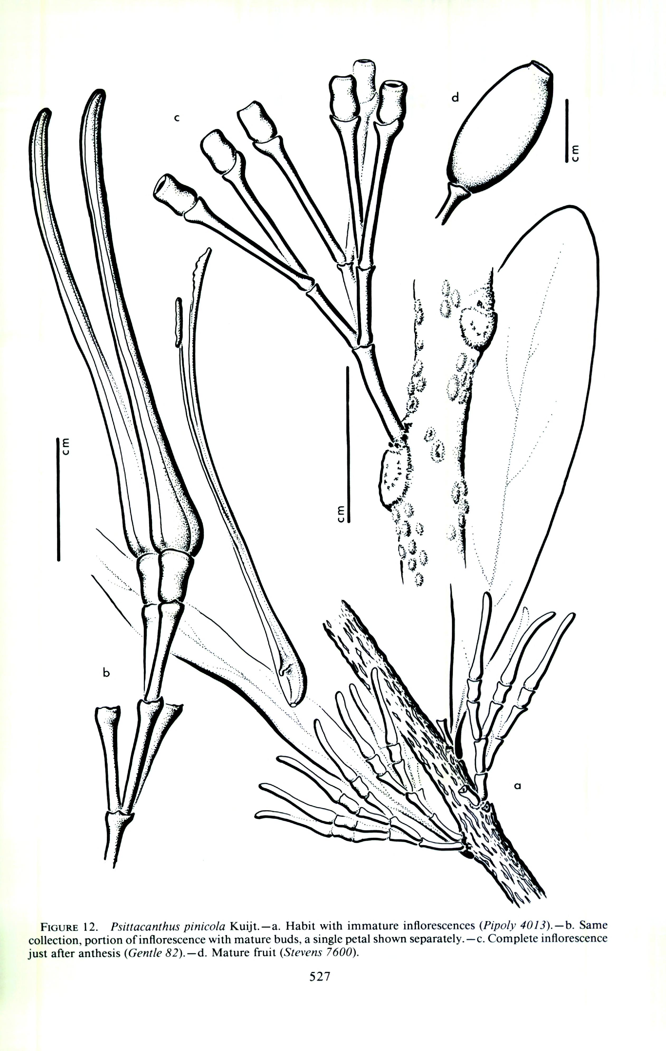 no full size  illustration available (3a)