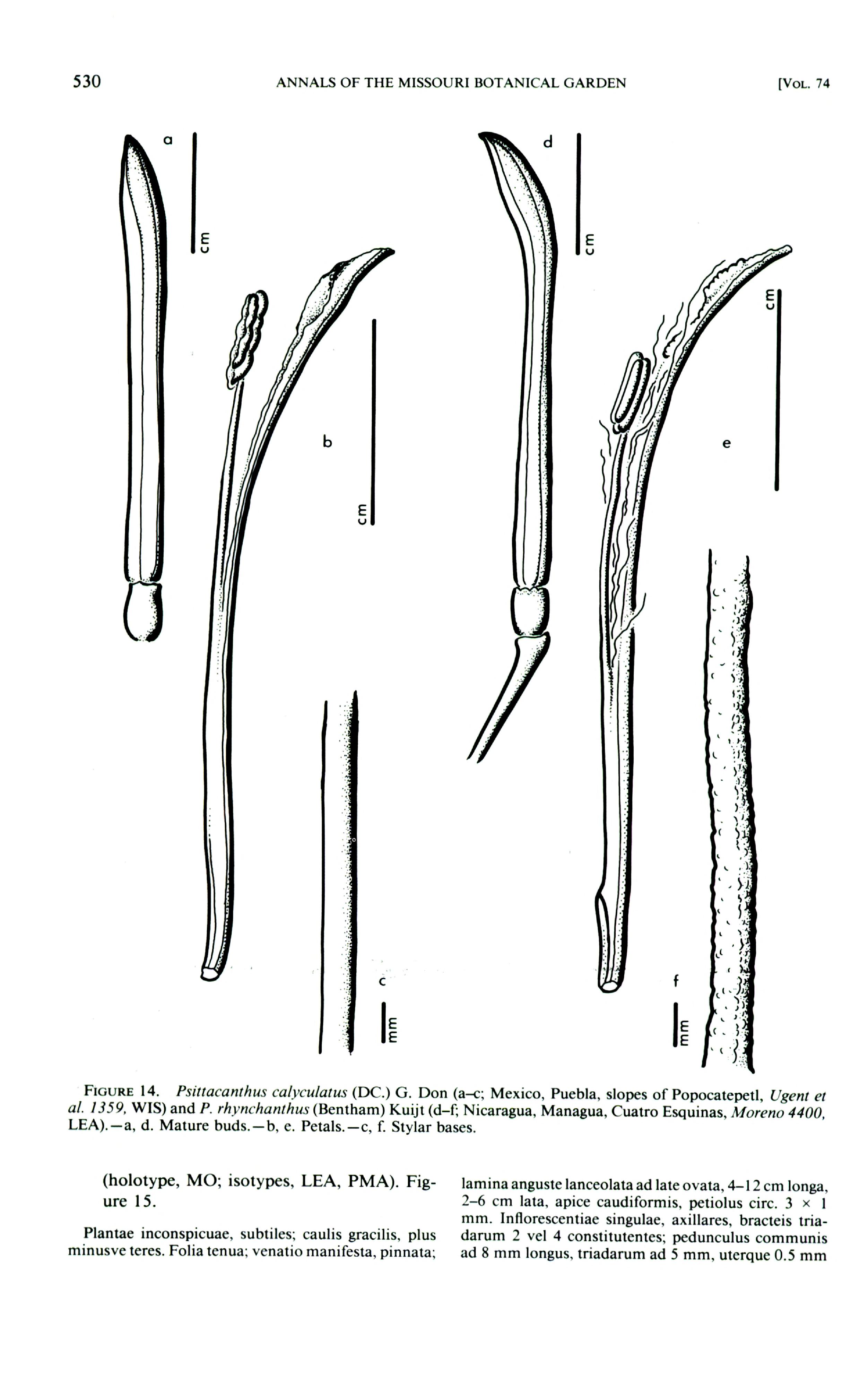 no full size  illustration available (3a)