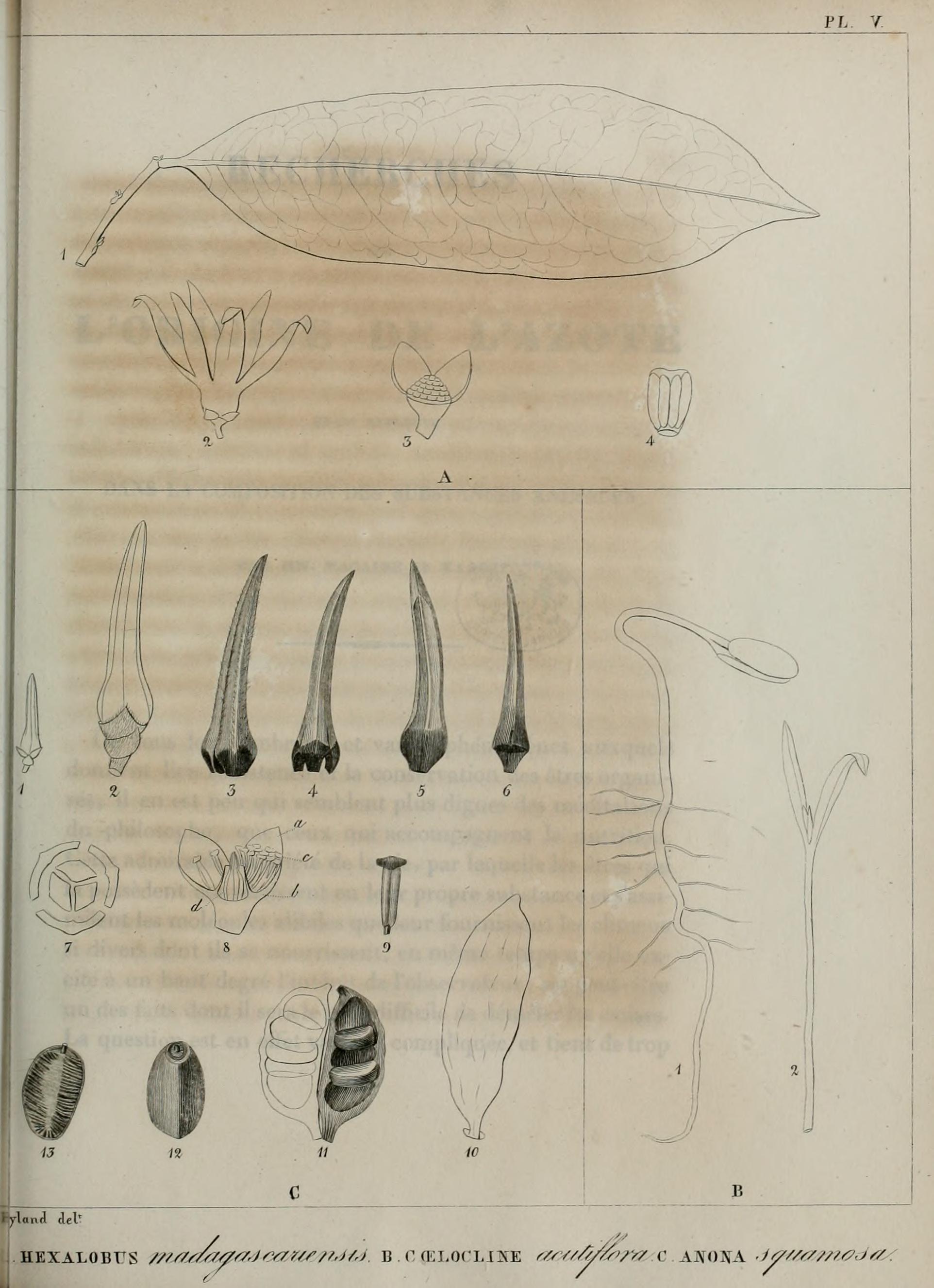 no full size  illustration available (3a)