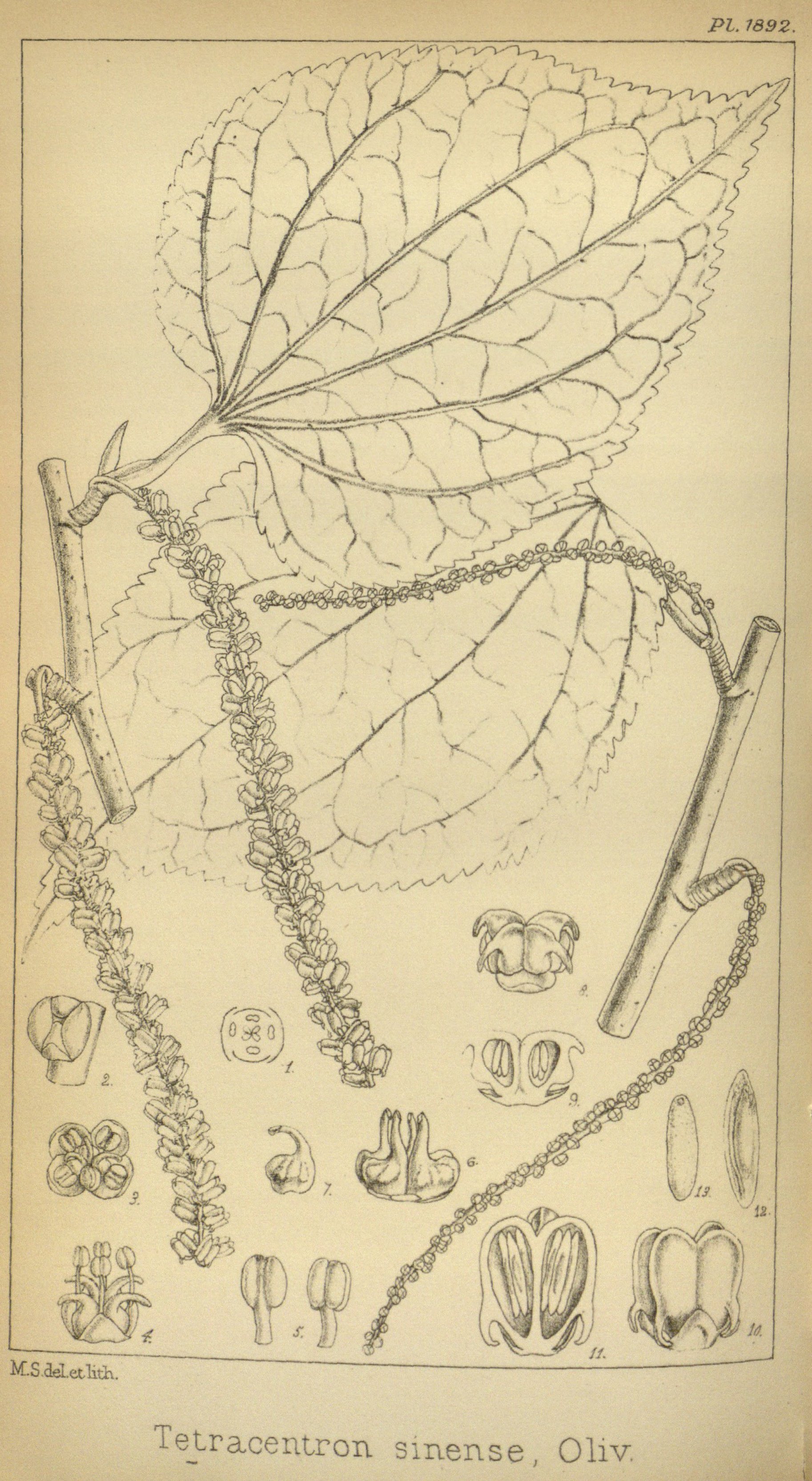 no full size  illustration available (3a)