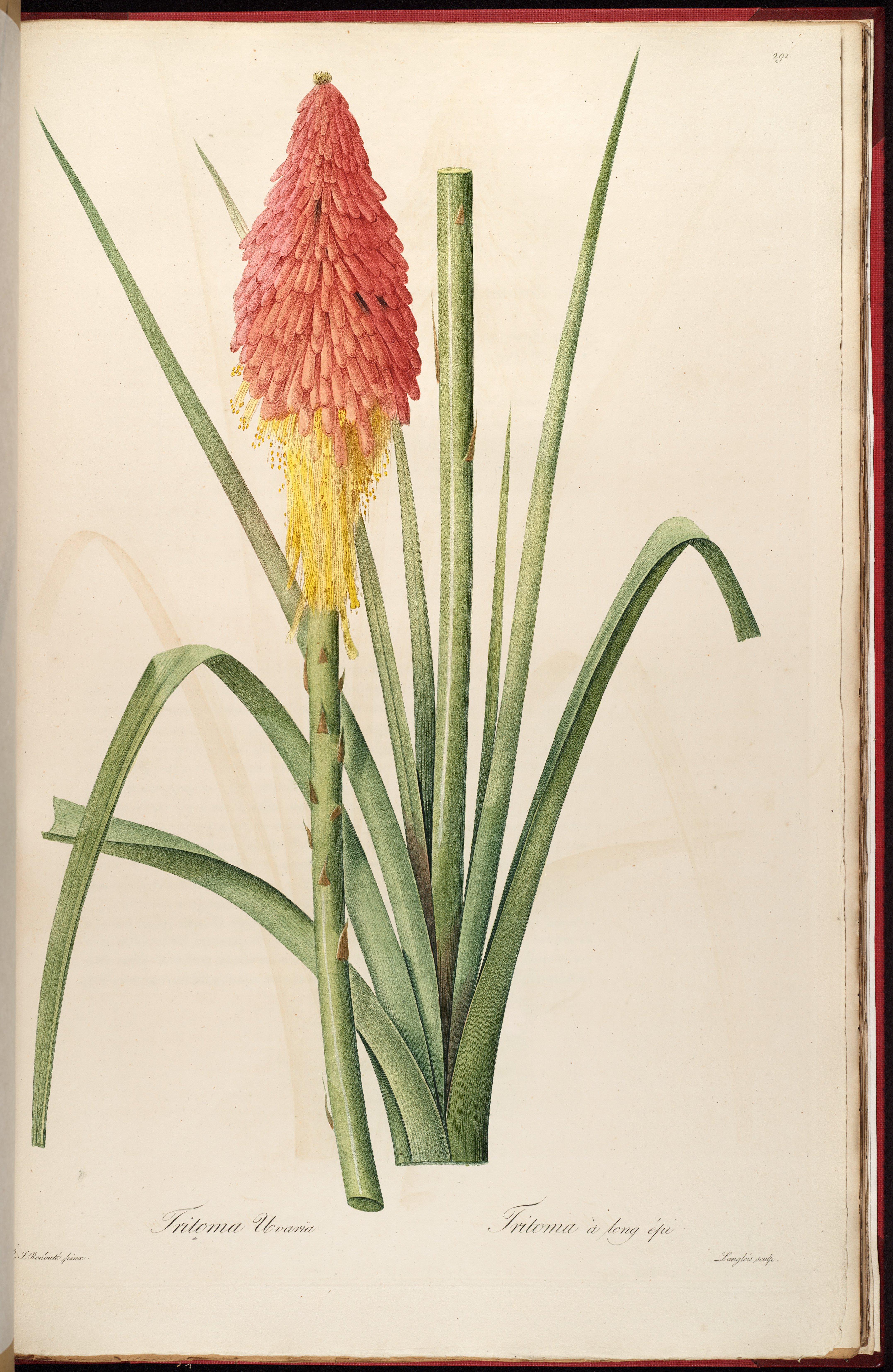 no full size  illustration available (3a)