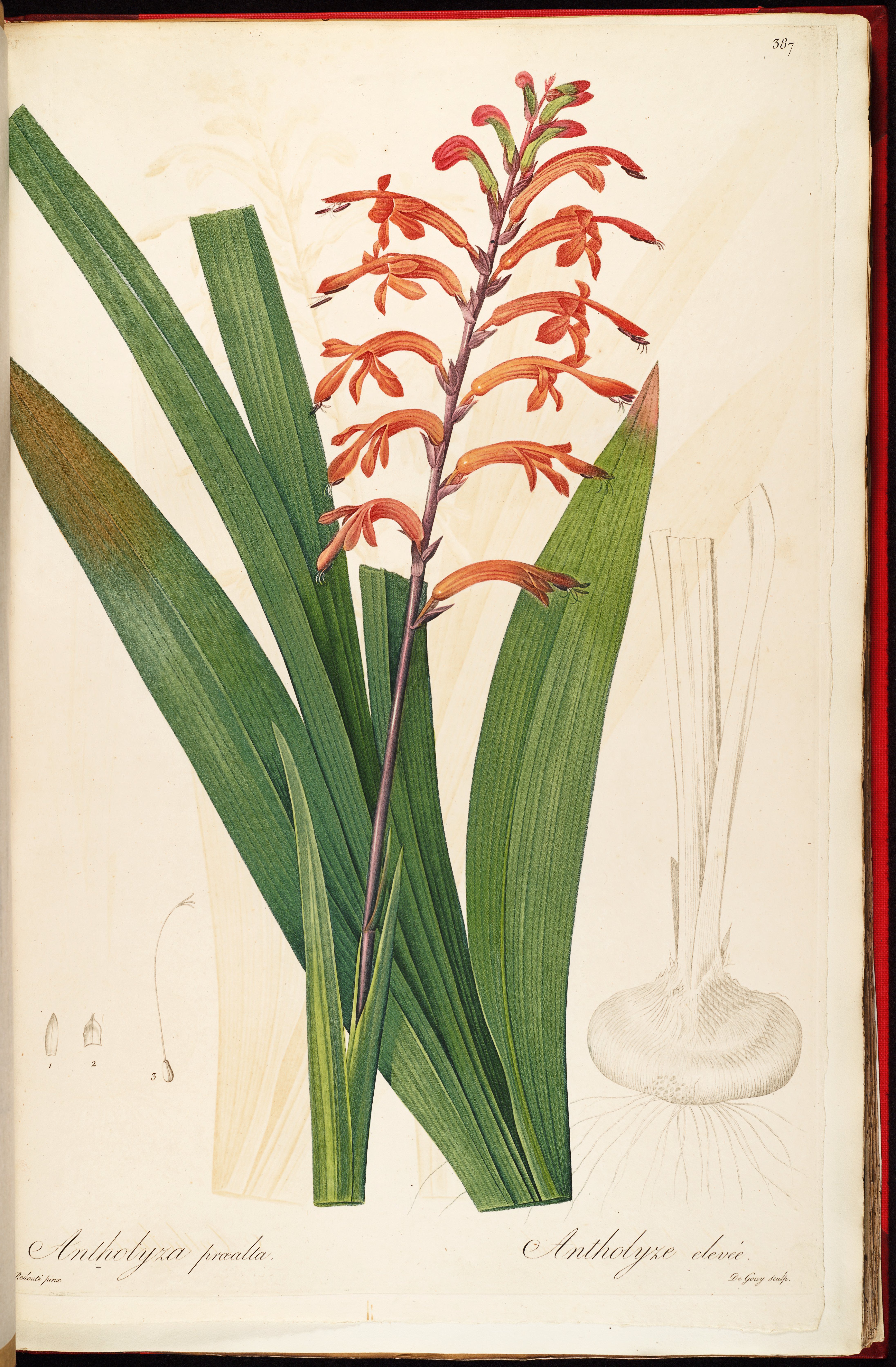 no full size  illustration available (3a)