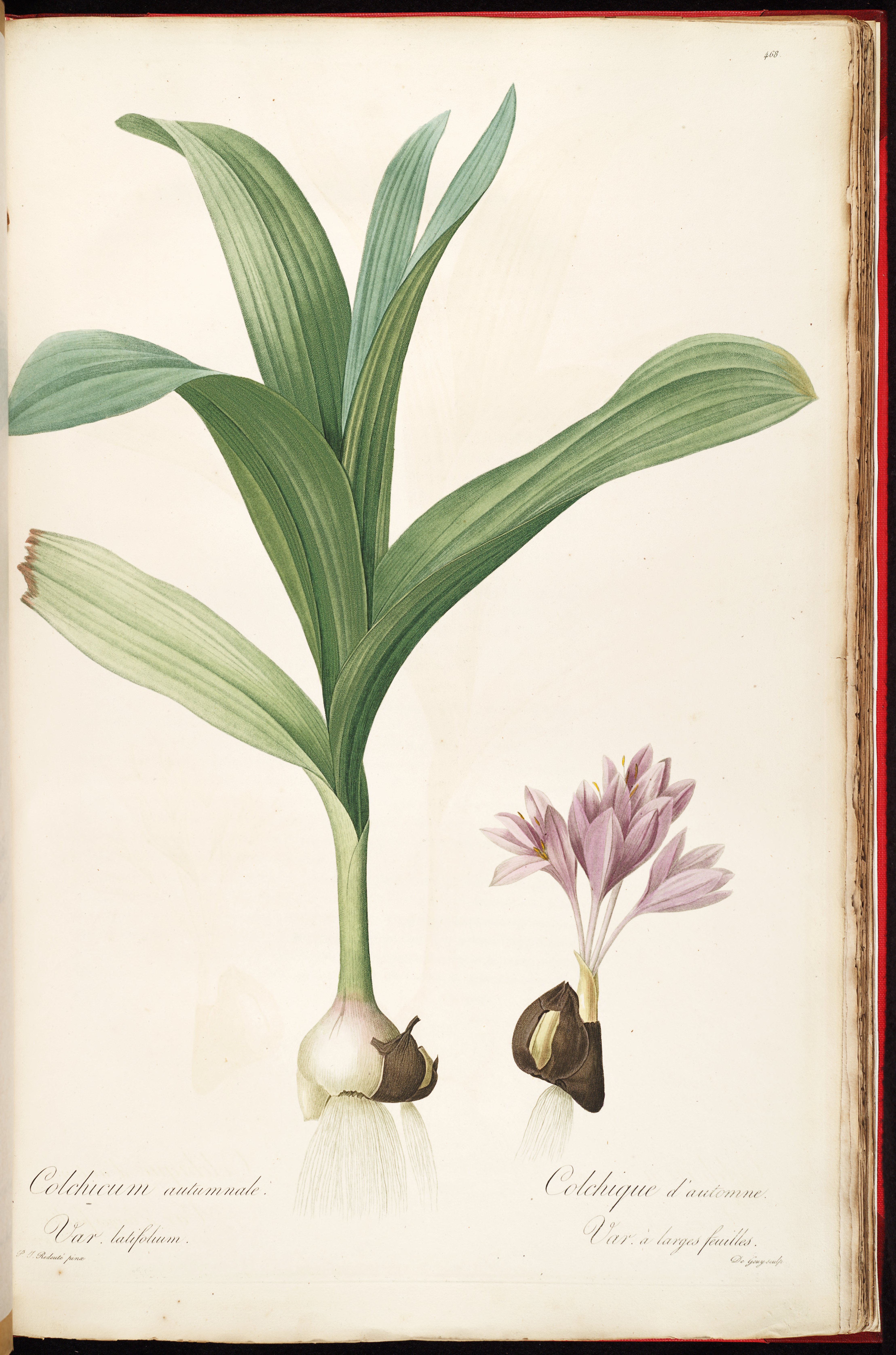 no full size  illustration available (3a)