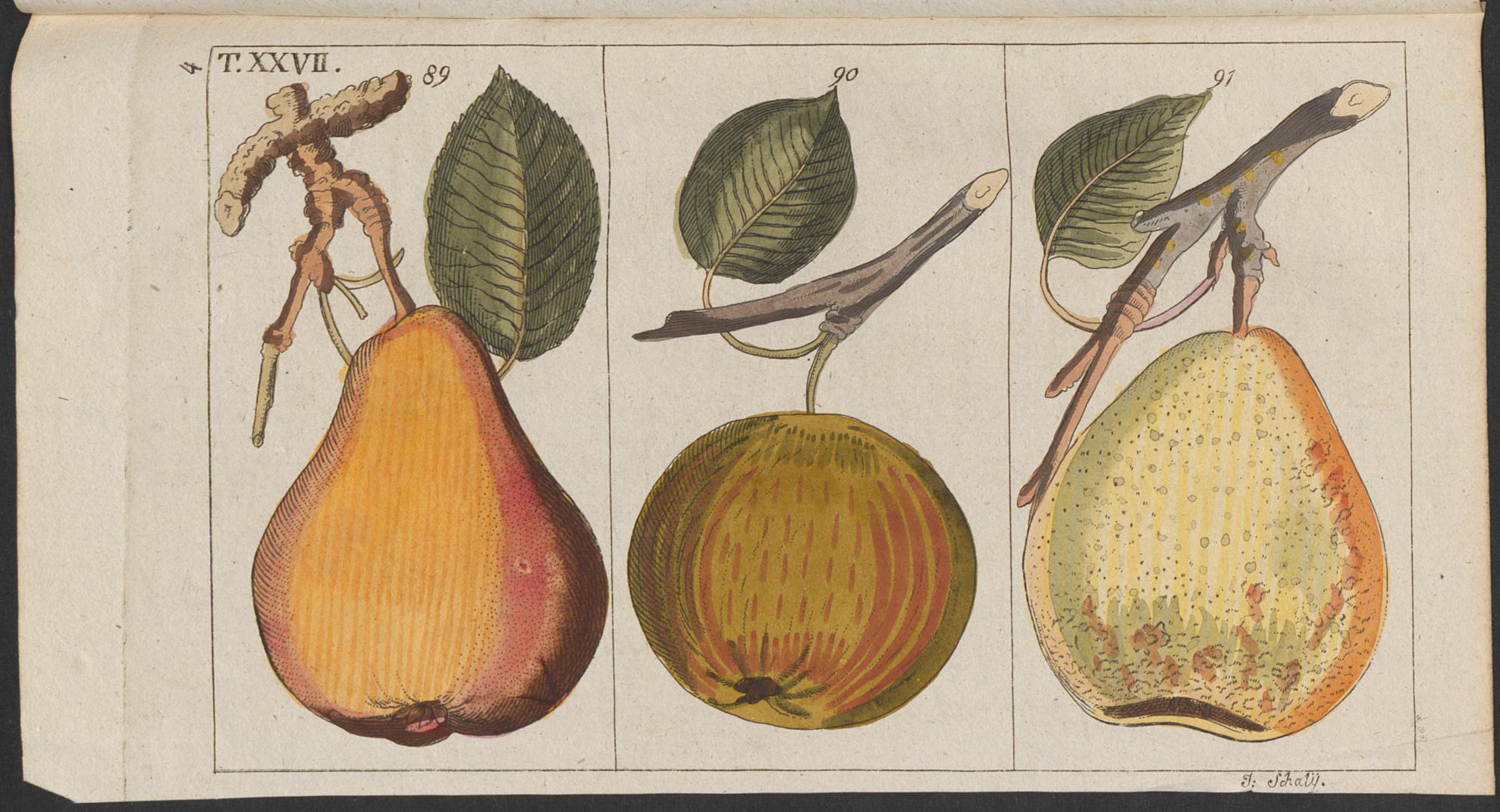 no full size  illustration available (3a)