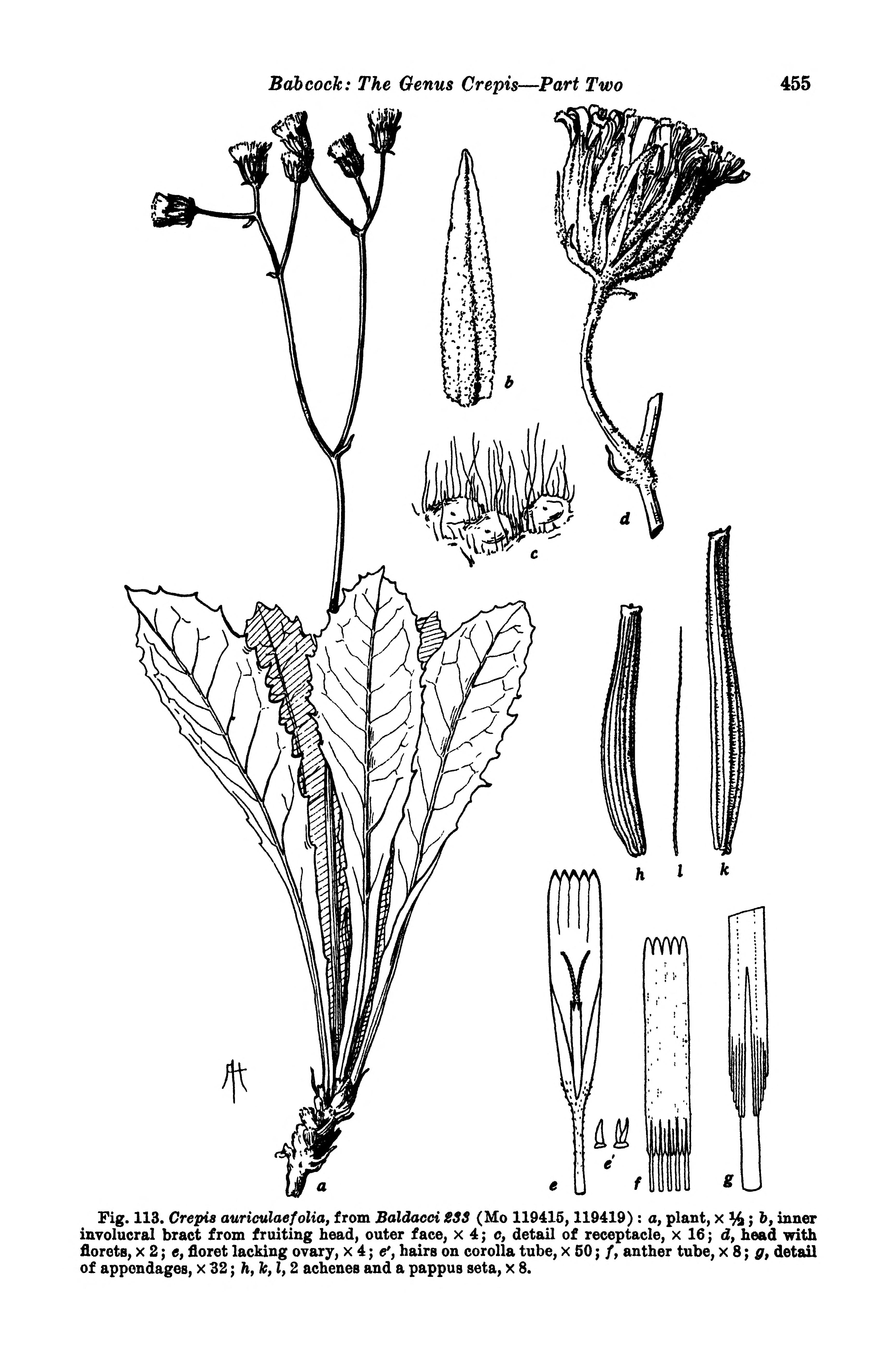 no full size  illustration available (3a)