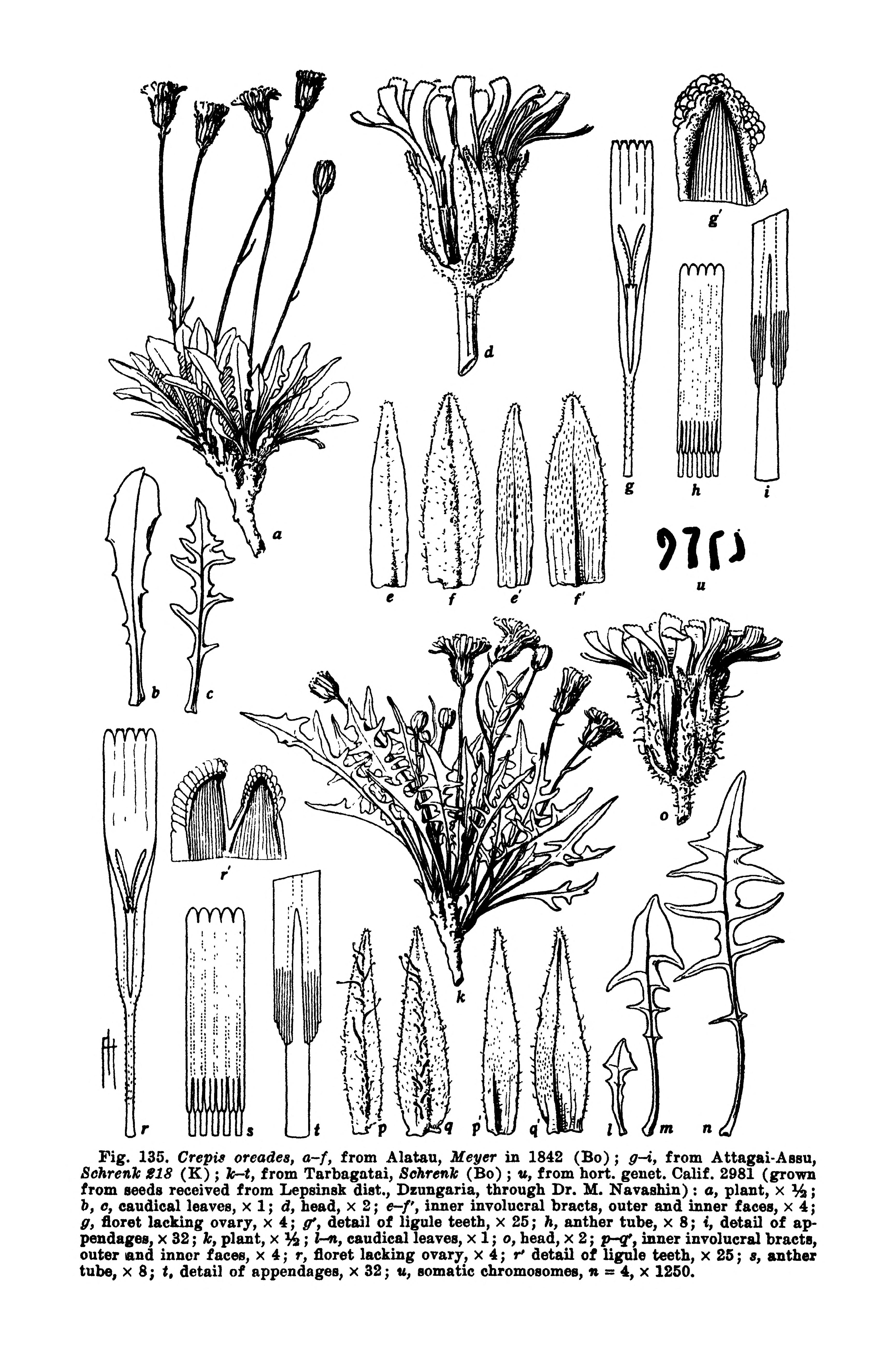 no full size  illustration available (3a)