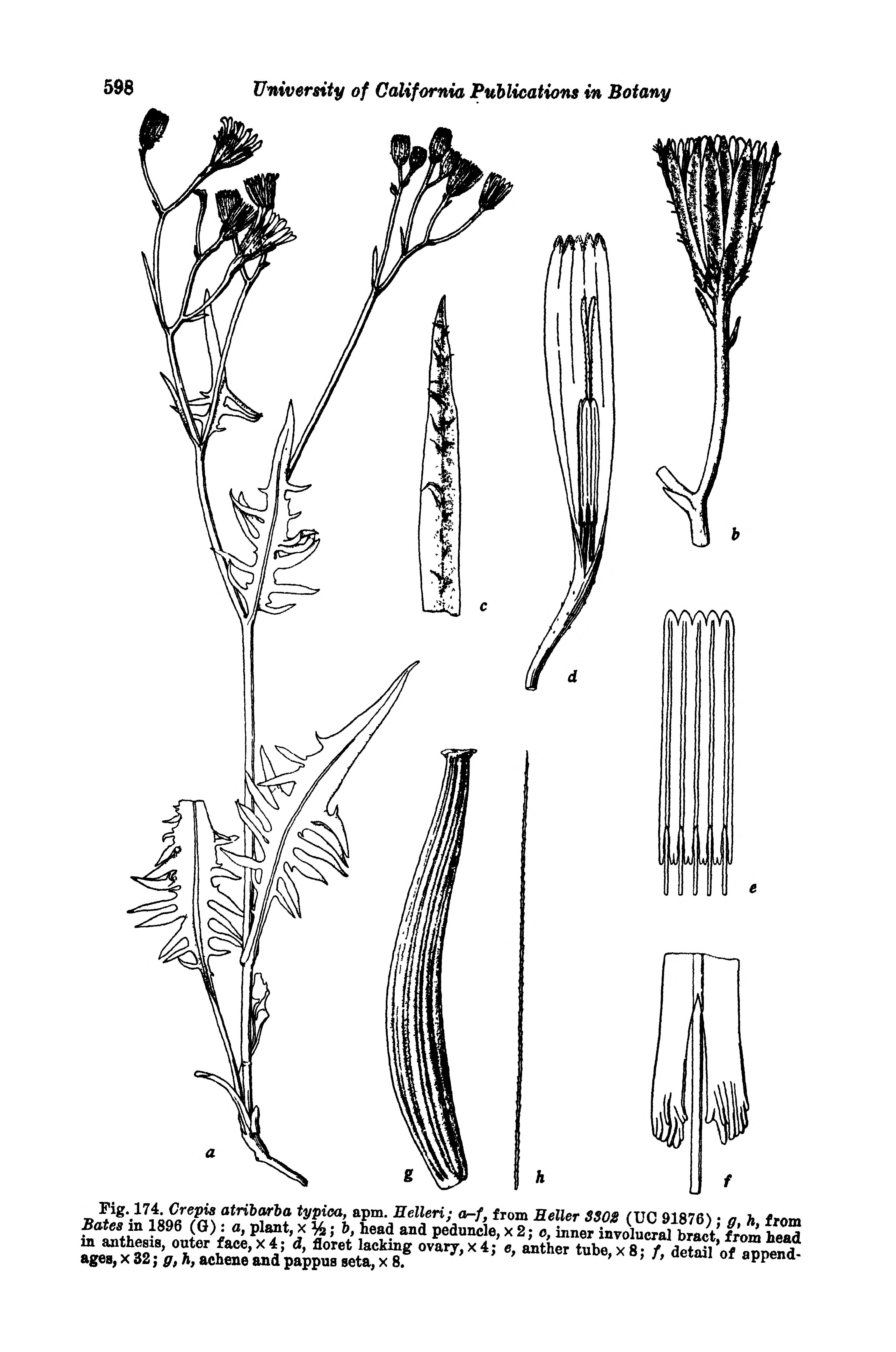 no full size  illustration available (3a)