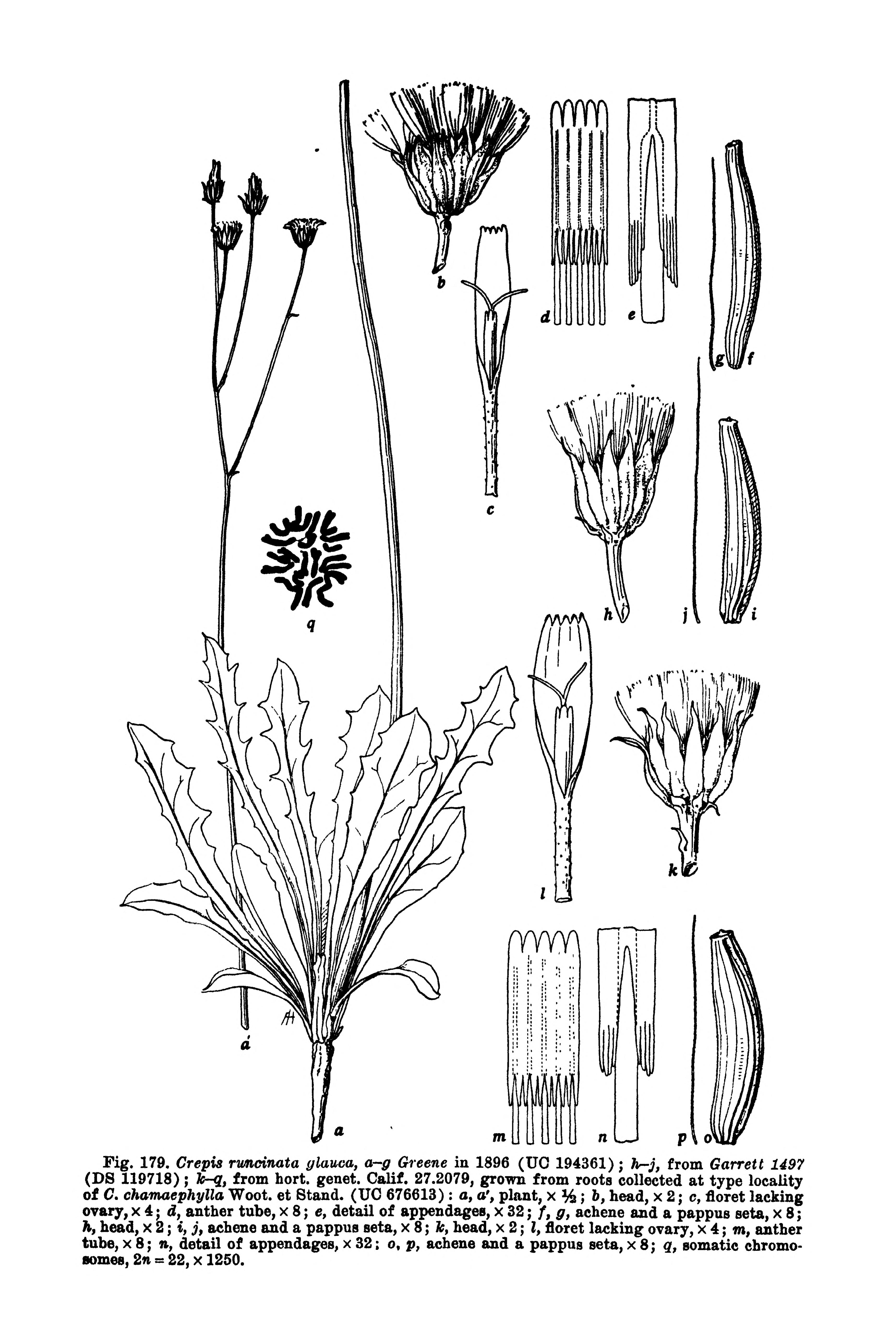 no full size  illustration available (3a)