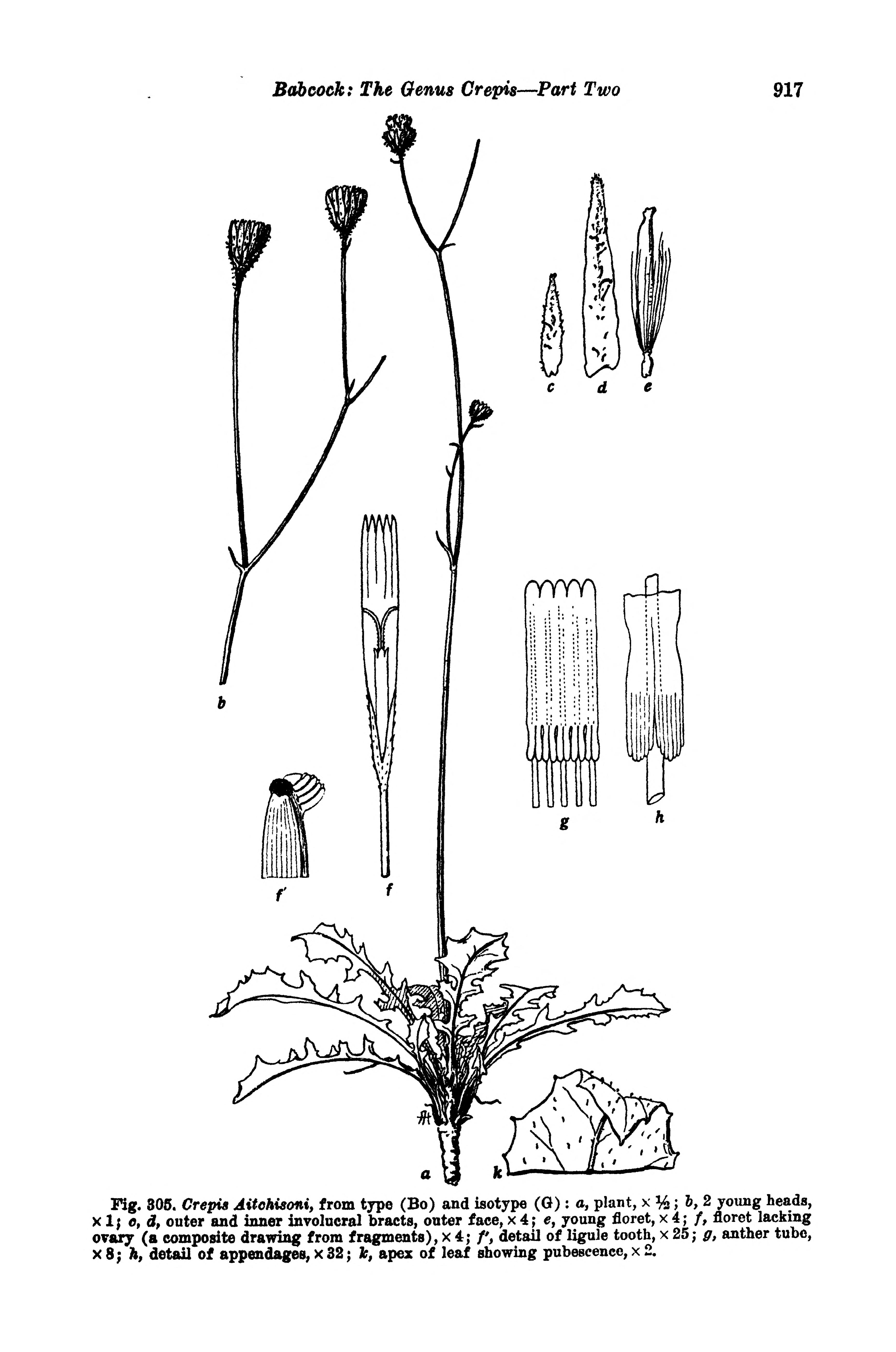 no full size  illustration available (3a)