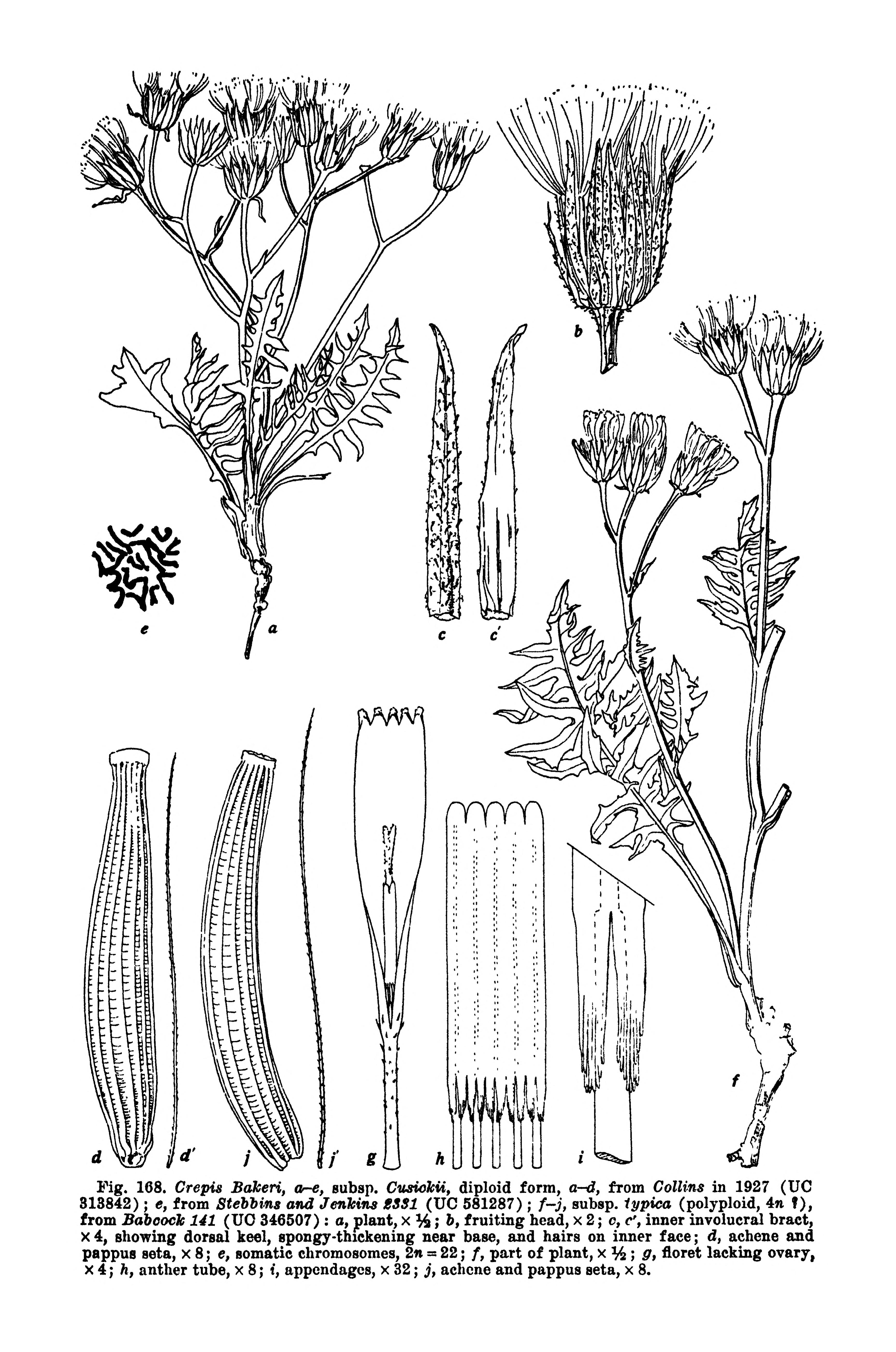 no full size  illustration available (3a)