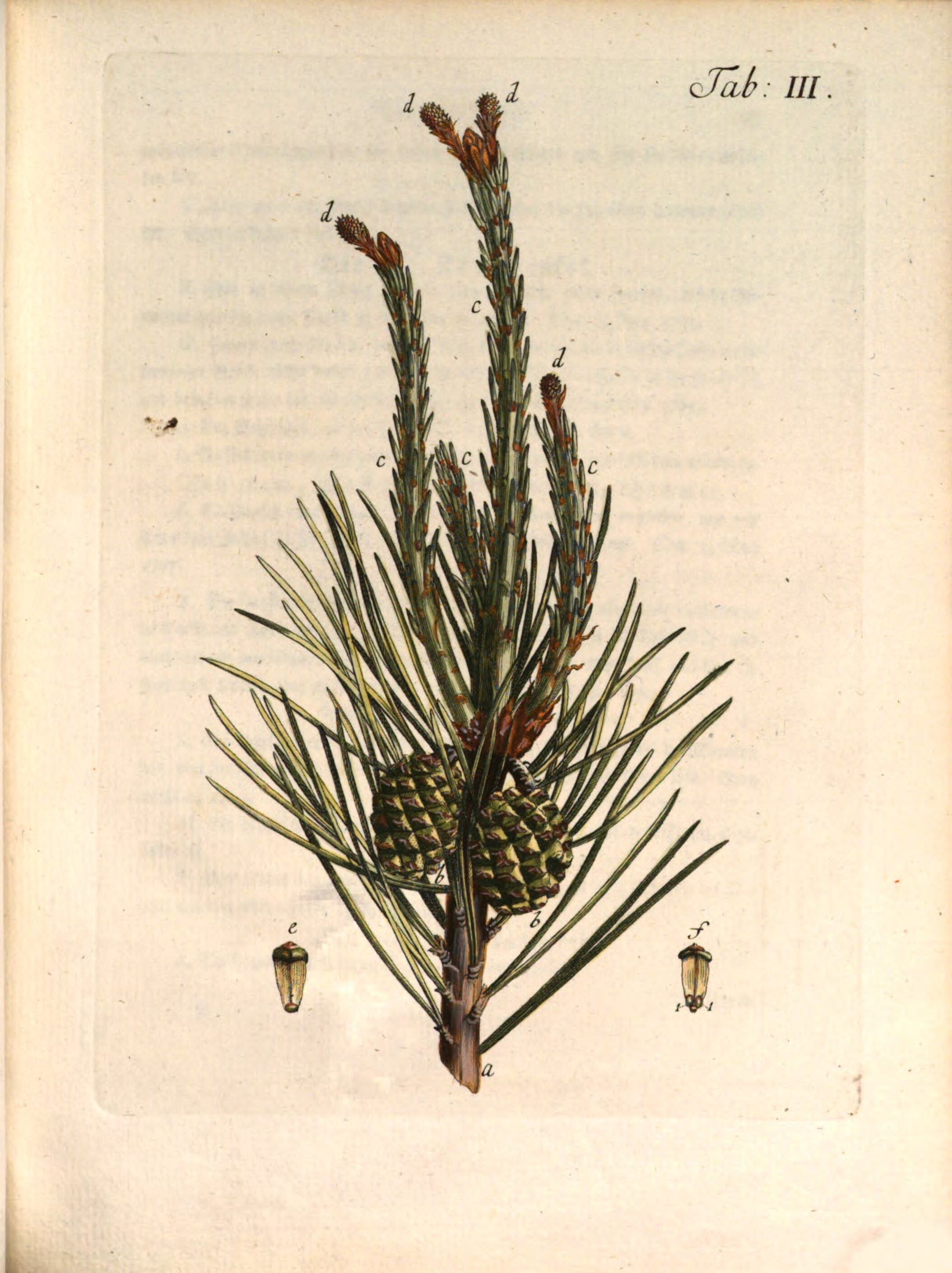 no full size  illustration available (3a)