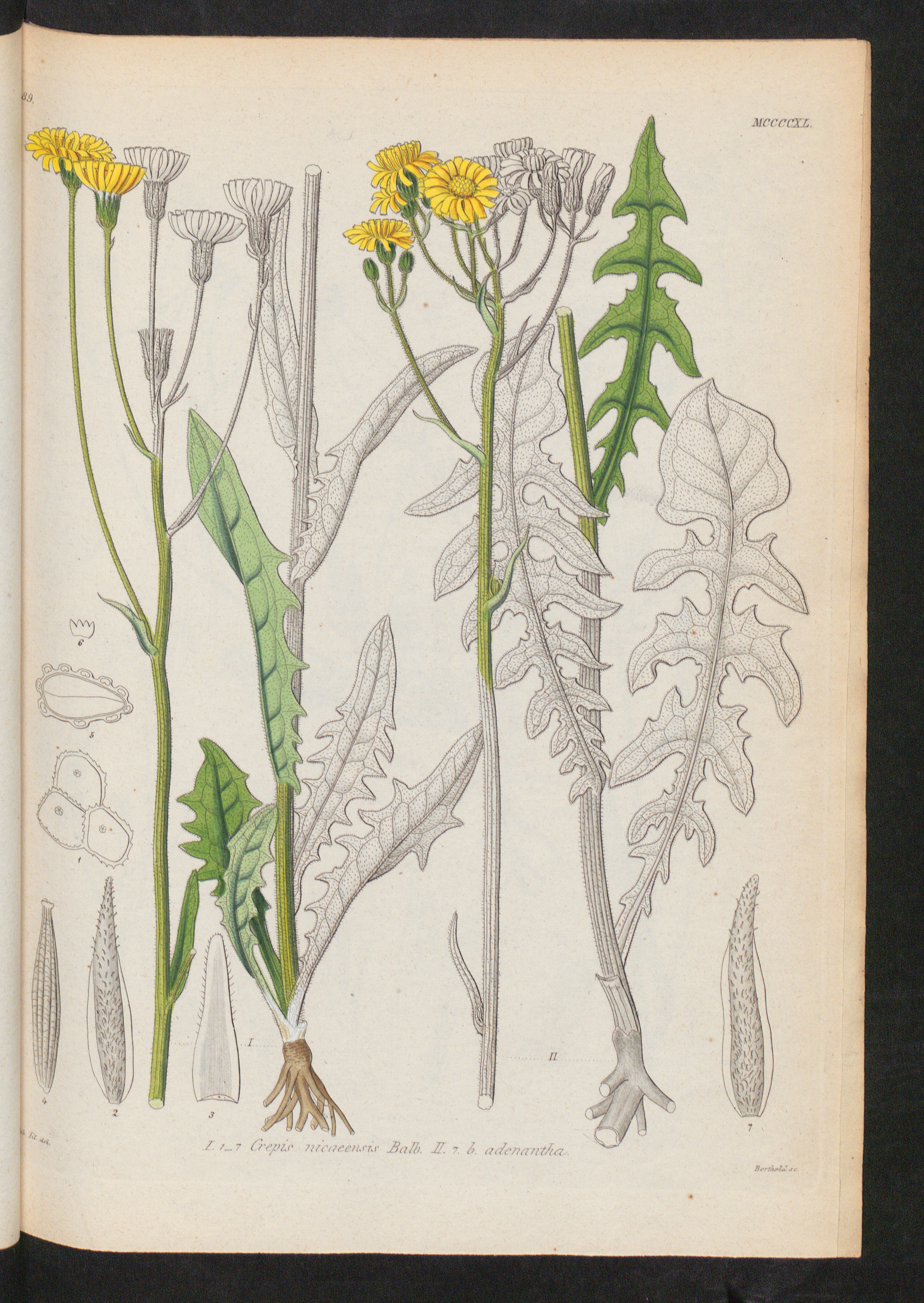 no full size  illustration available (3a)