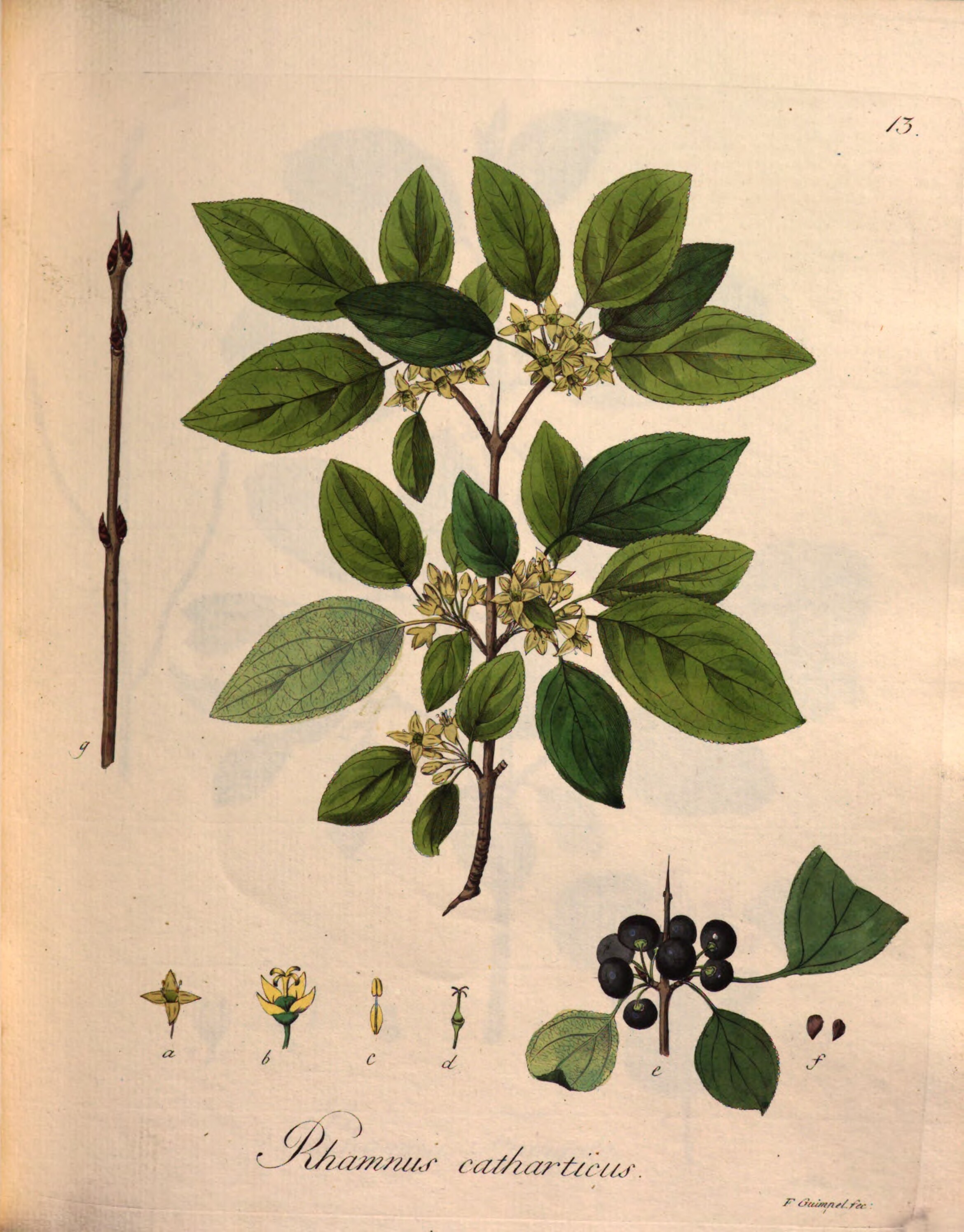 no full size  illustration available (3a)