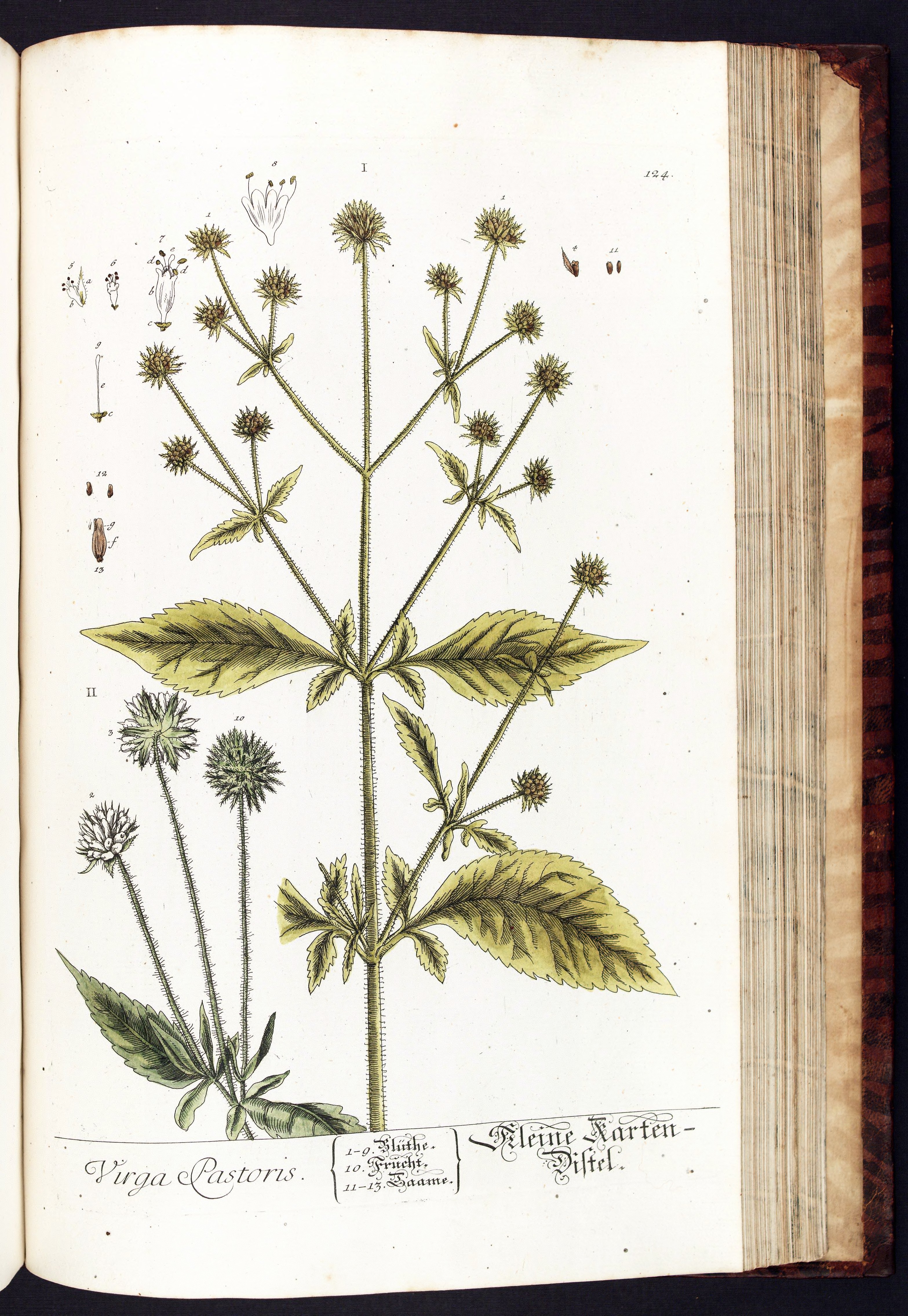 no full size  illustration available (3a)