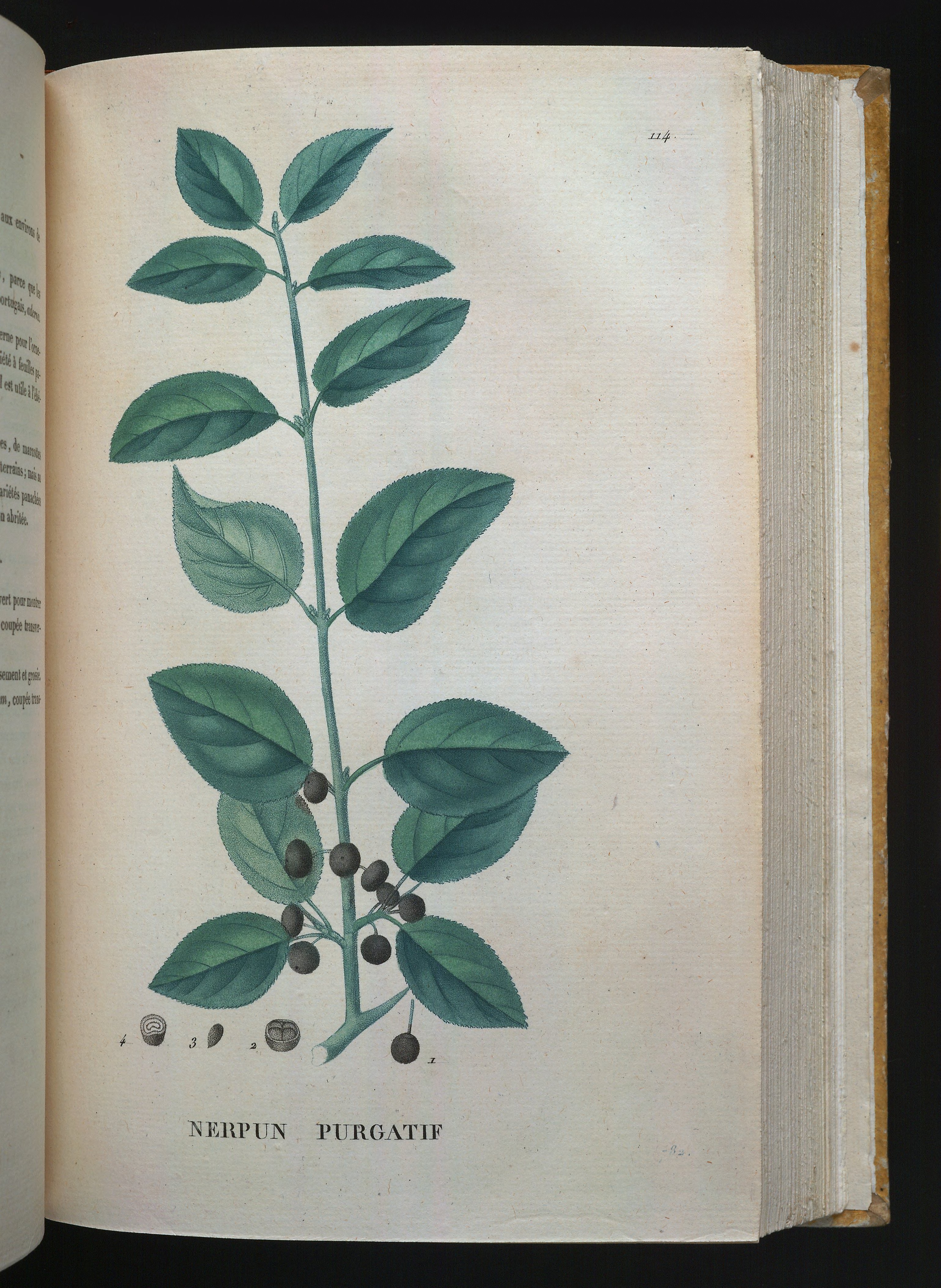 no full size  illustration available (3a)