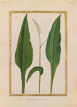 no HD illustration available (4)