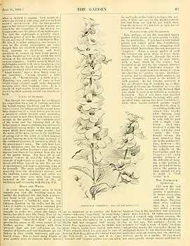 no HD illustration available (4)