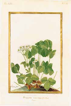 no HD illustration available (4)