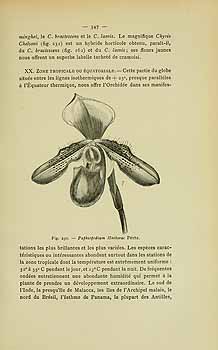 no HD illustration available (4)