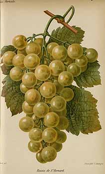 no HD illustration available (4)