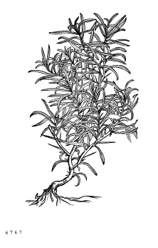 no HD illustration available (4)