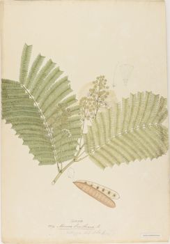 no HD illustration available (4)