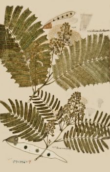 no HD illustration available (4)