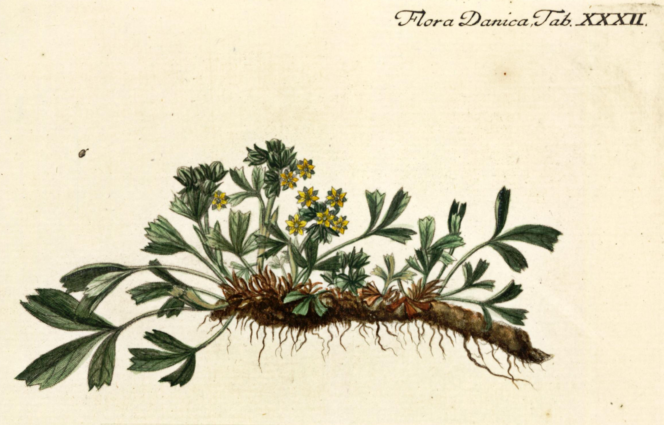 no full size  illustration available (3a)