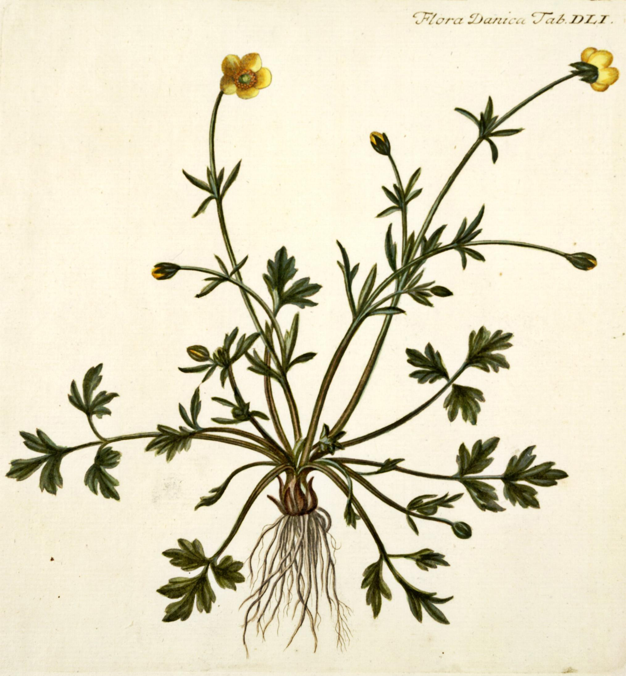 no full size  illustration available (3a)