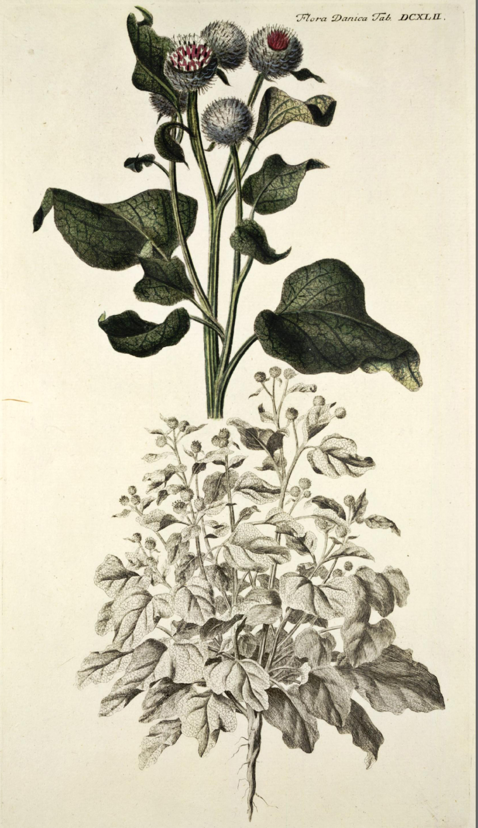 no full size  illustration available (3a)