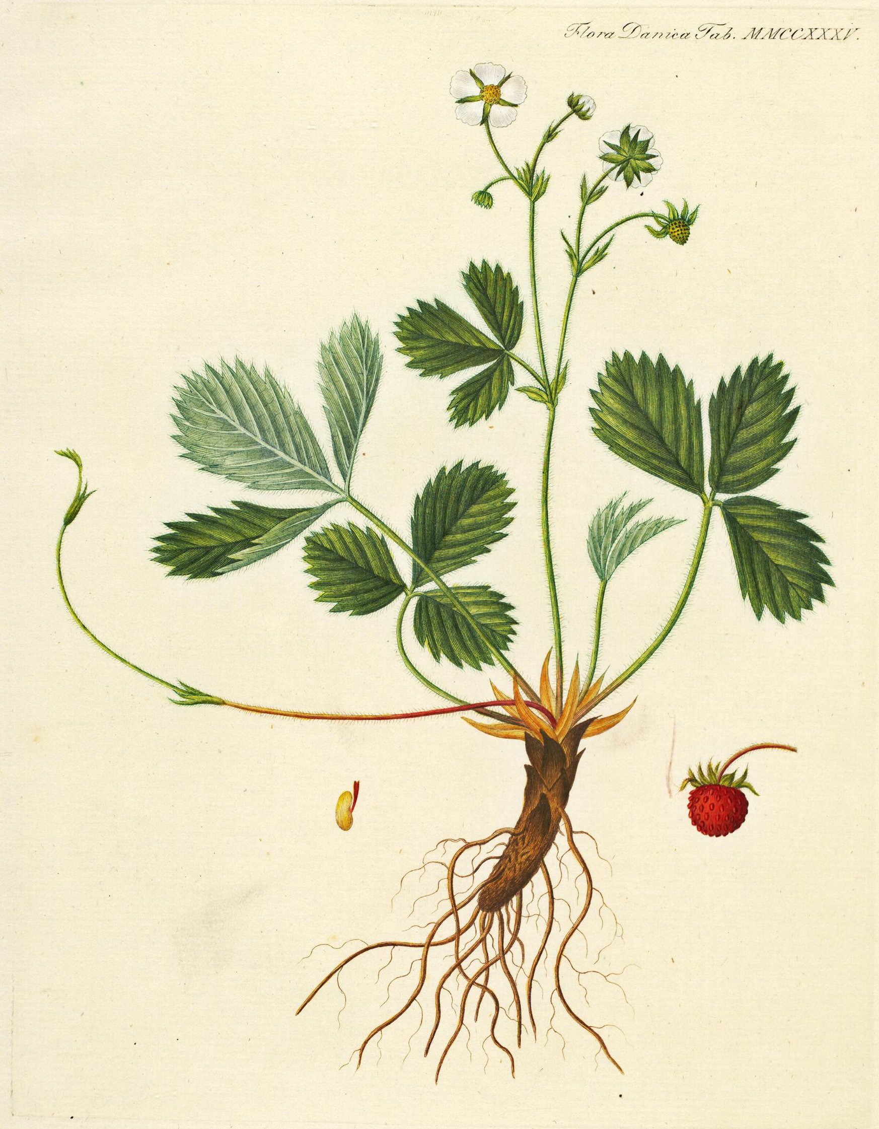 no full size  illustration available (3a)