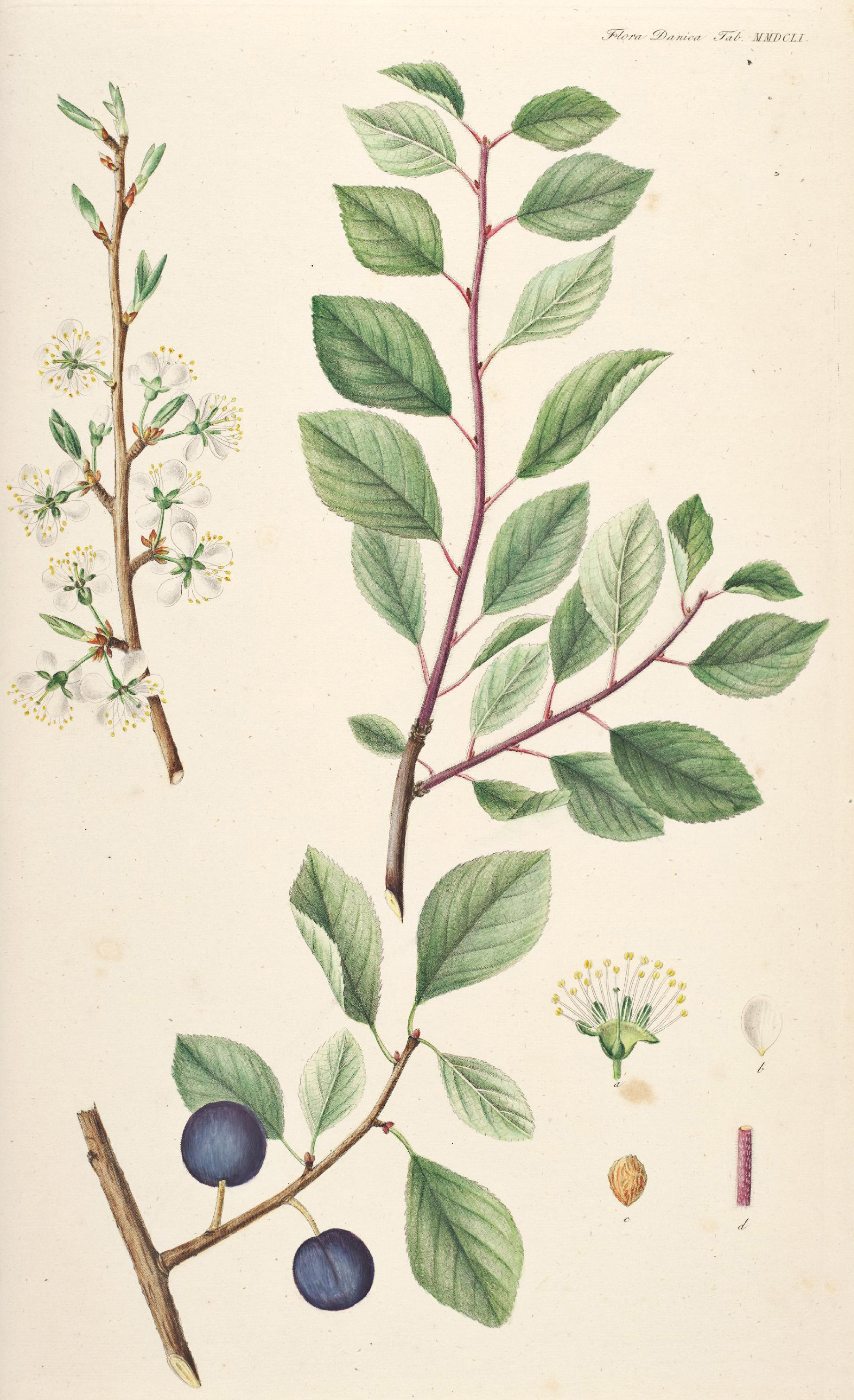 no full size  illustration available (3a)