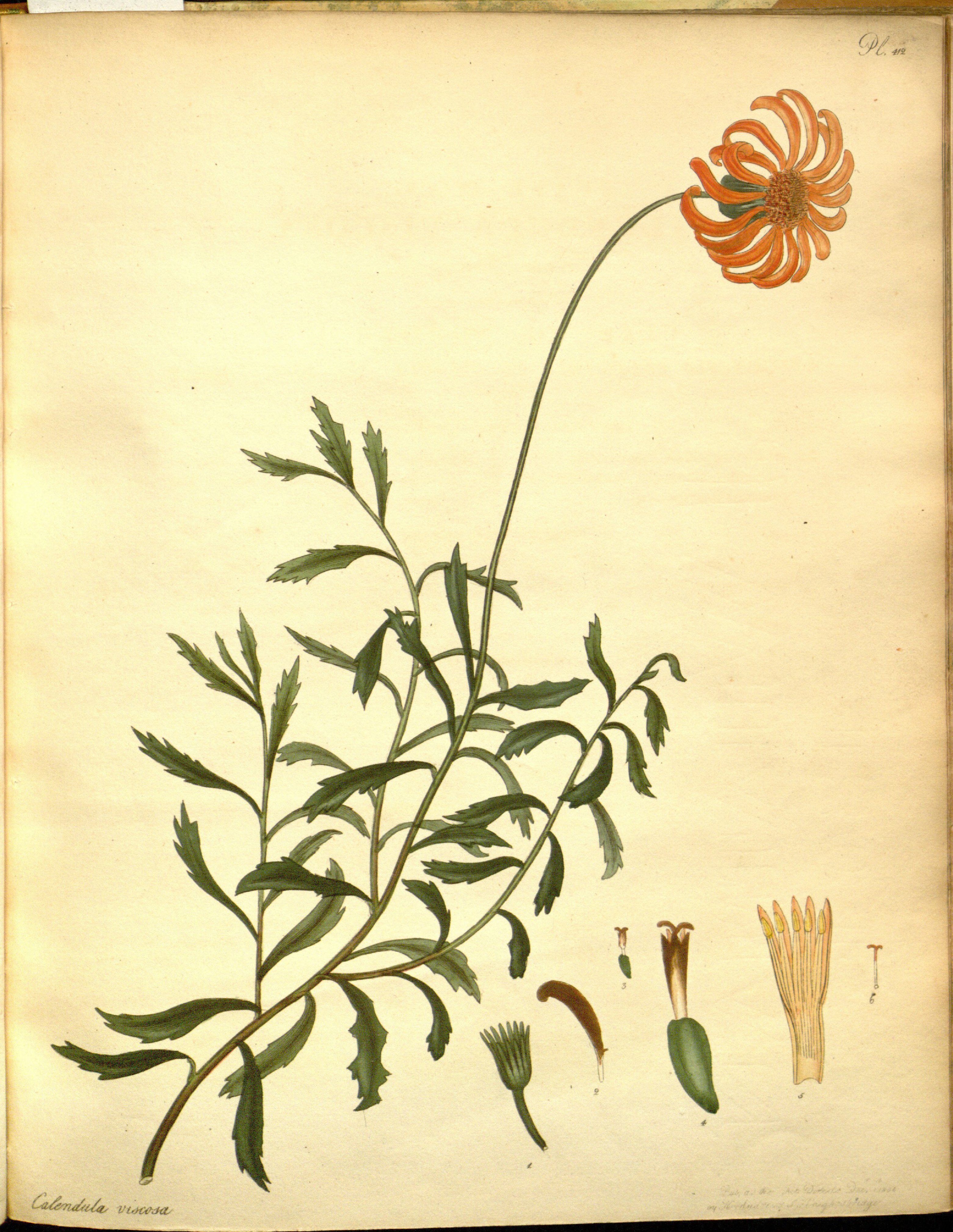 no full size  illustration available (3a)