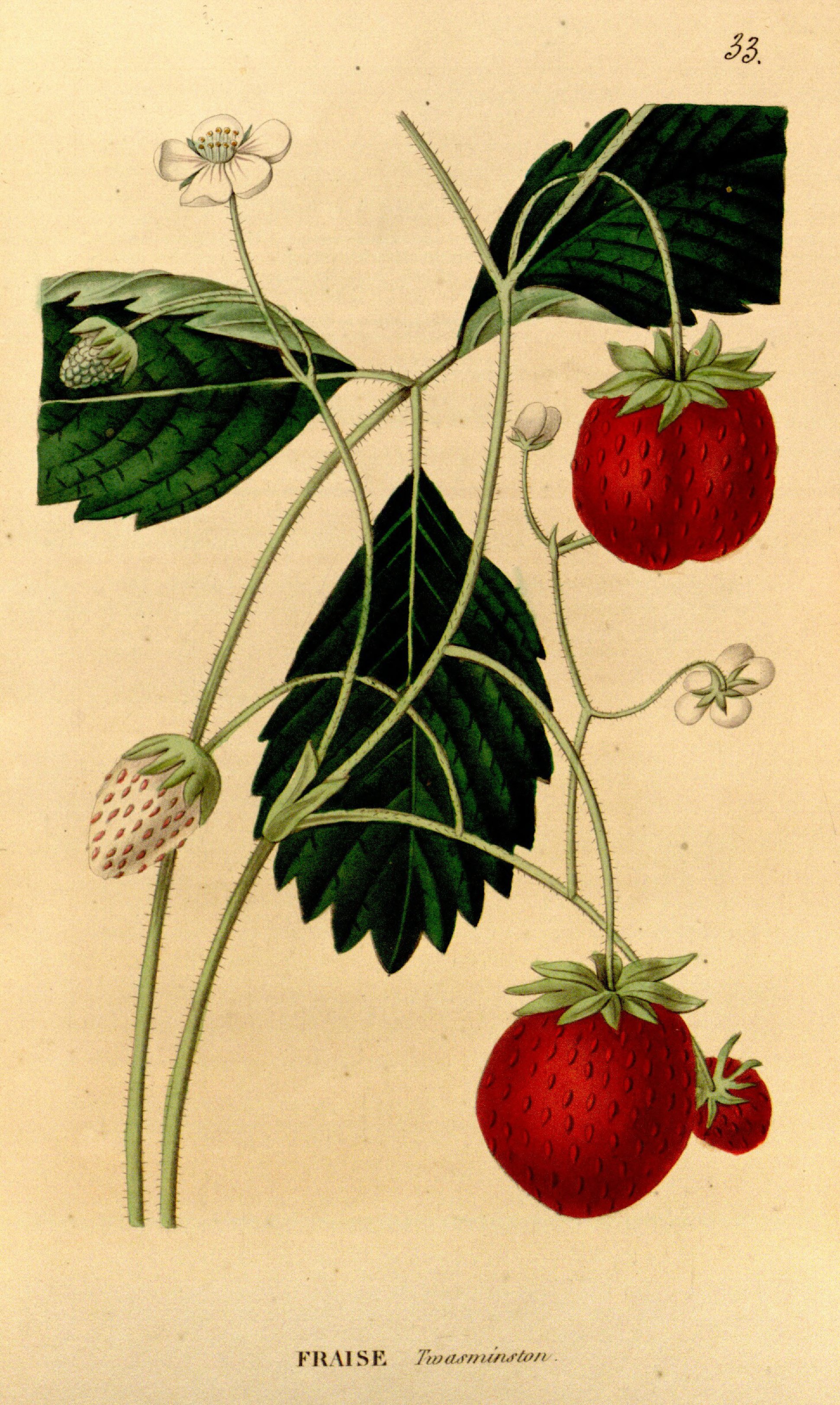 no full size  illustration available (3a)