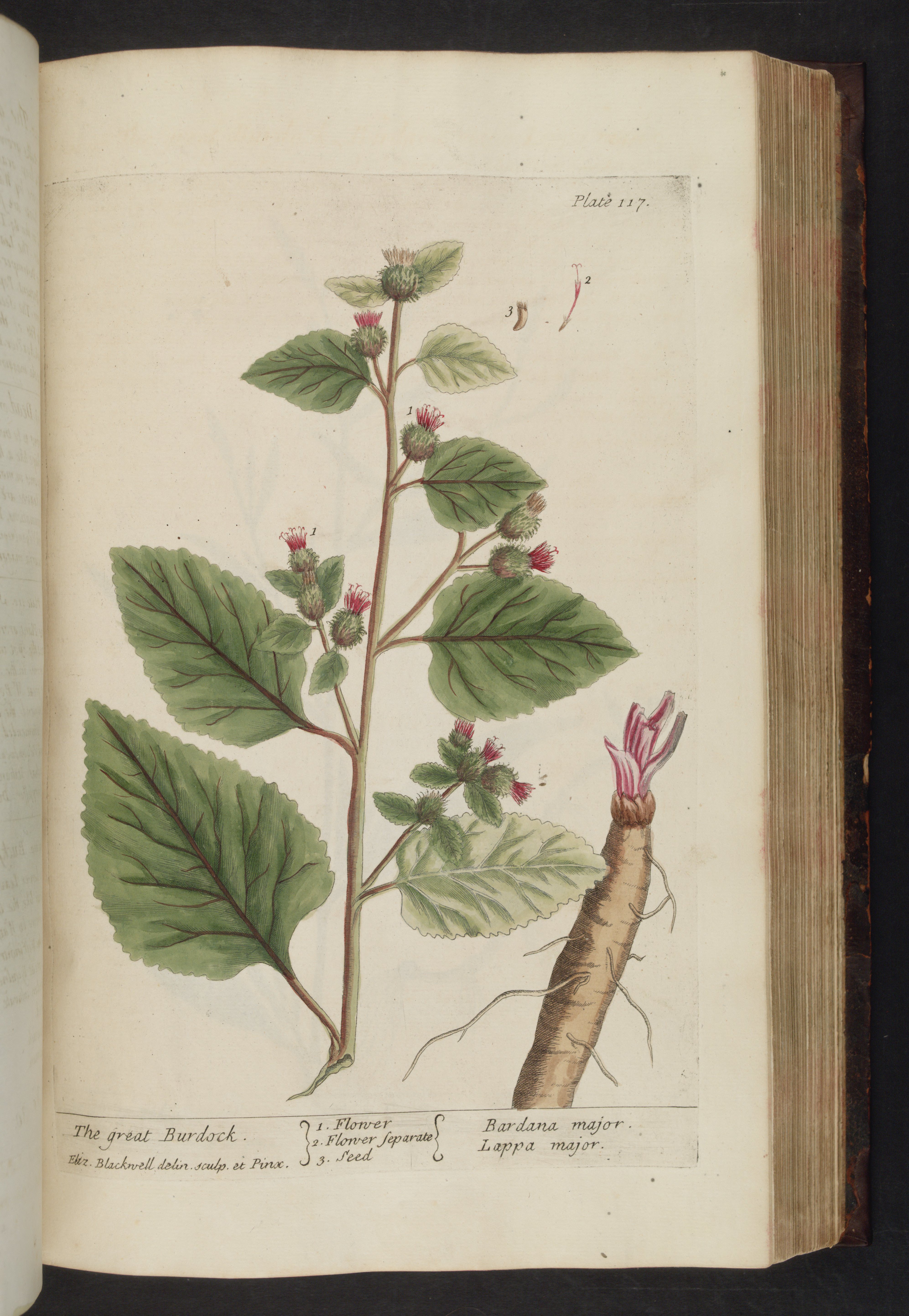 no full size  illustration available (3a)