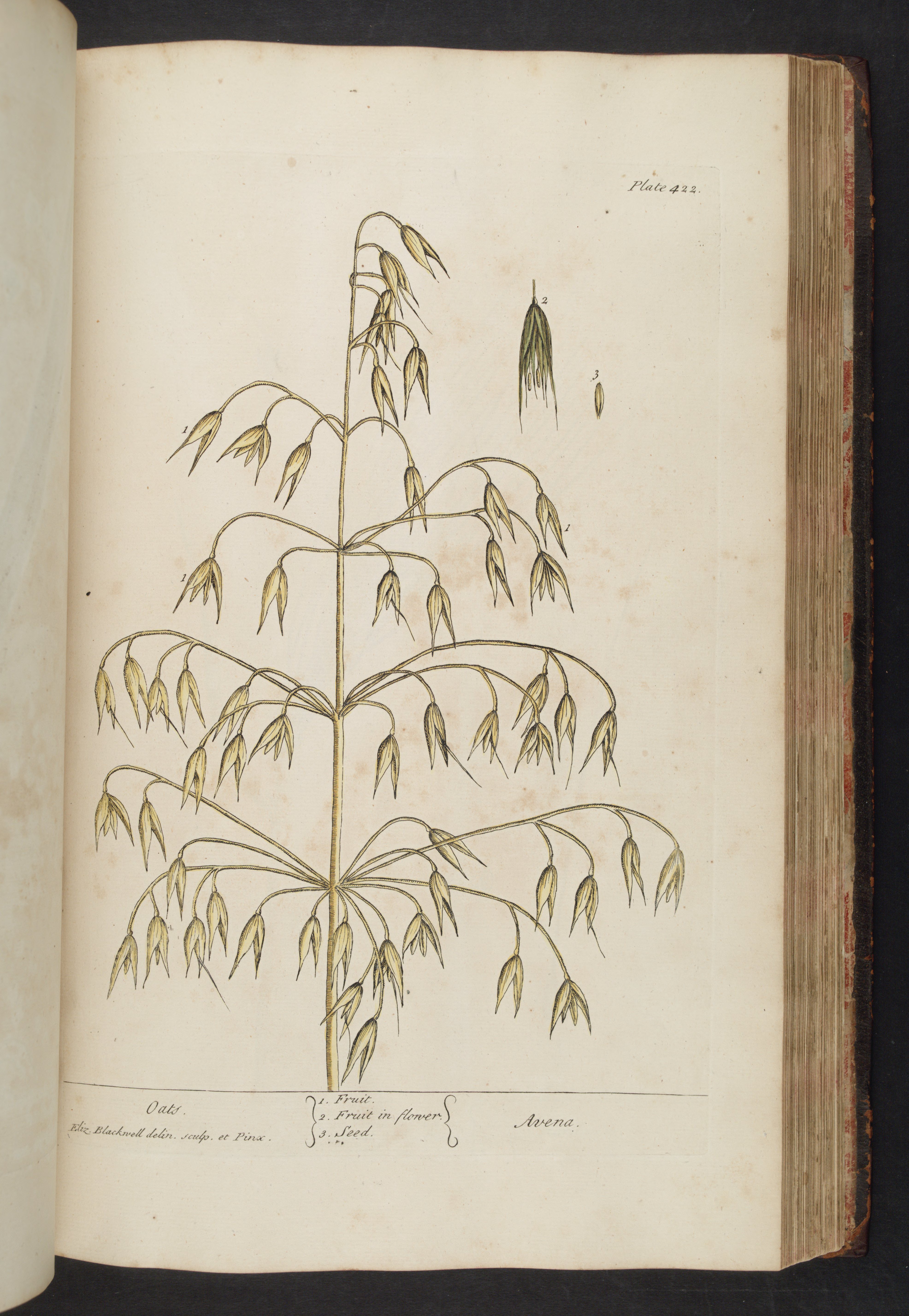 no full size  illustration available (3a)