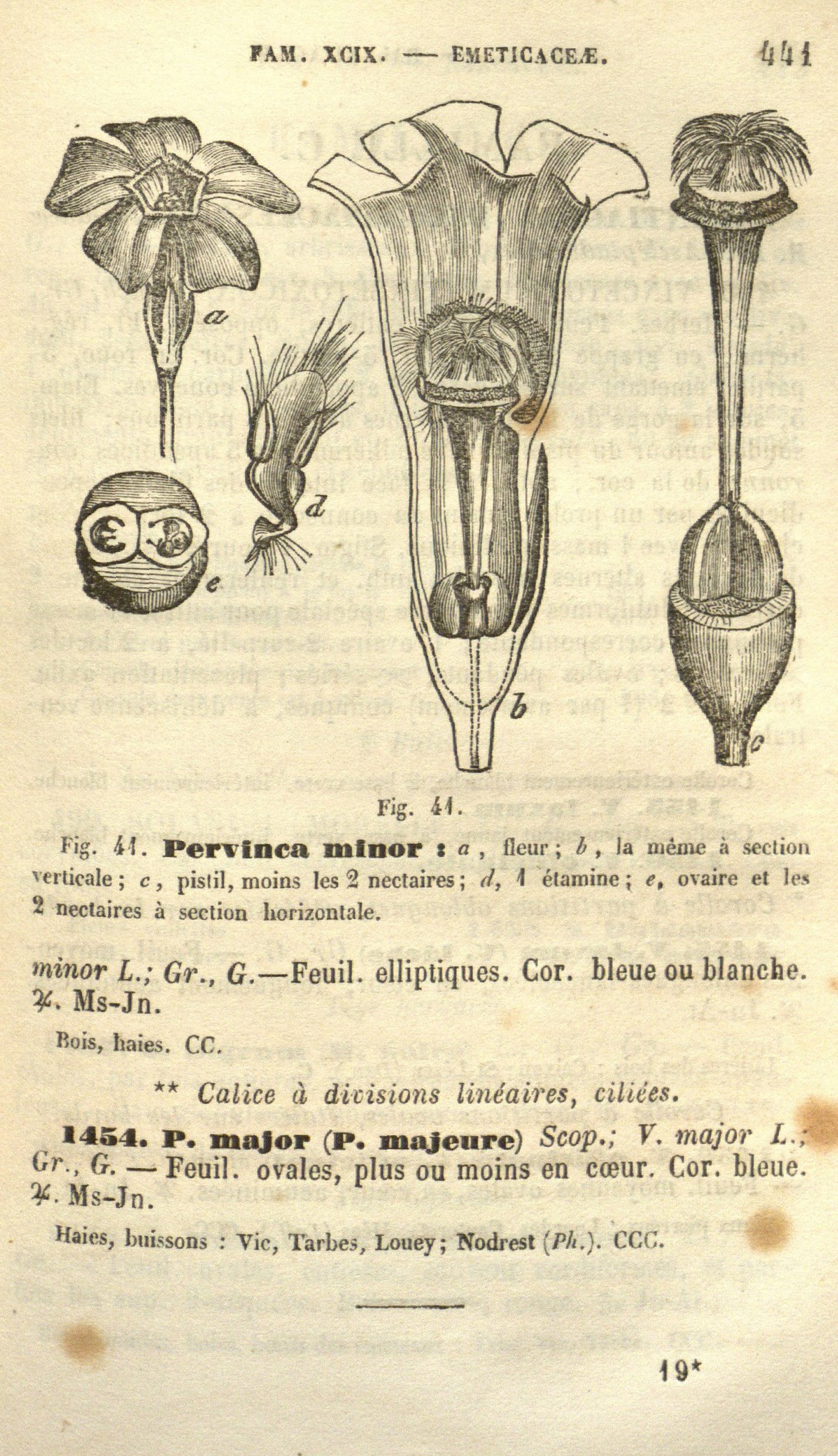 no full size  illustration available (3a)