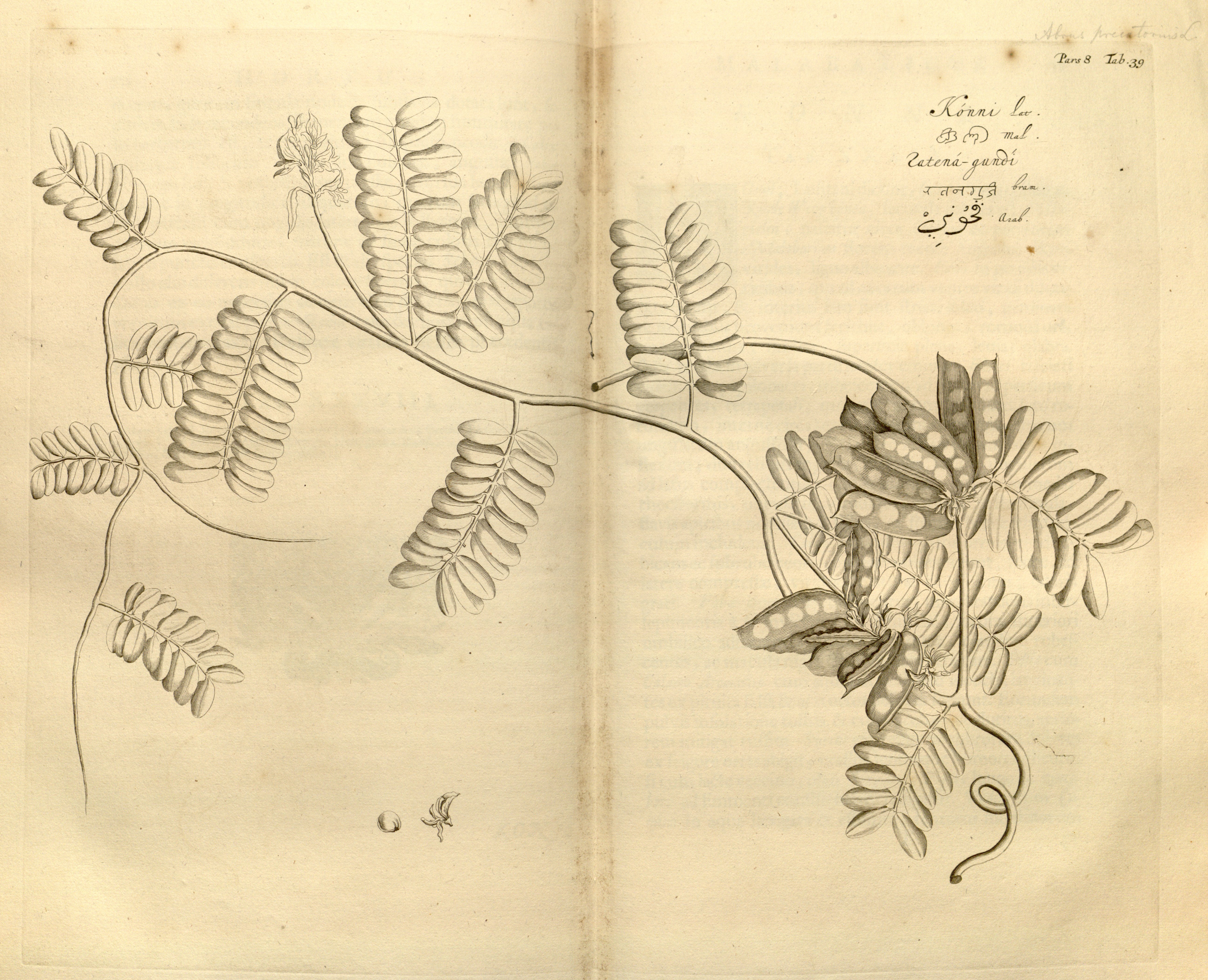 no full size  illustration available (3a)